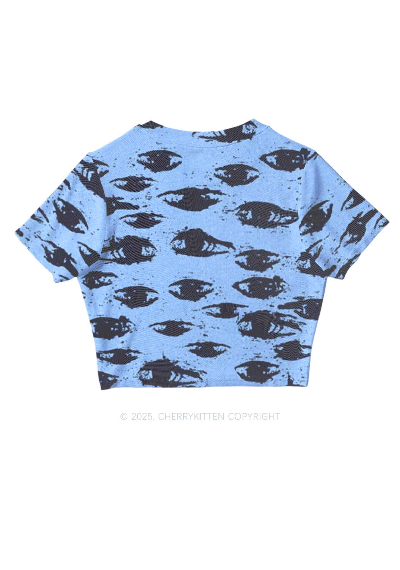 Eyes In The Blue Y2K Mesh Crop Top Cherrykitten - Image 5