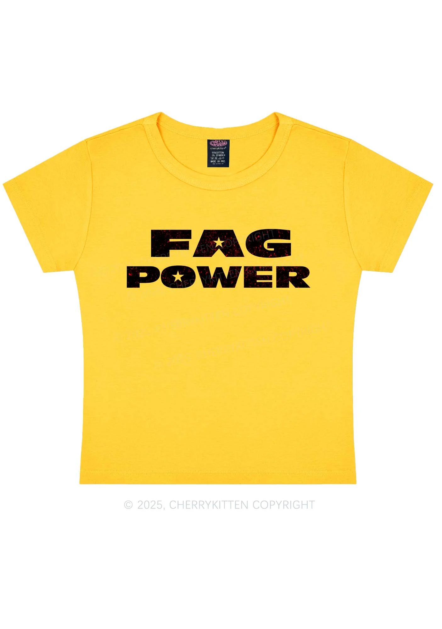 Fag Power Pride Y2K Baby Tee Cherrykitten - Image 5