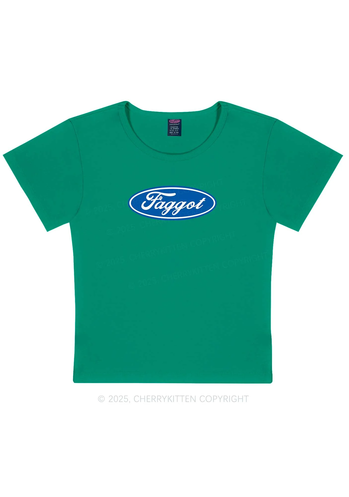 Faggot Pride Y2K Baby Tee Cherrykitten - Image 13