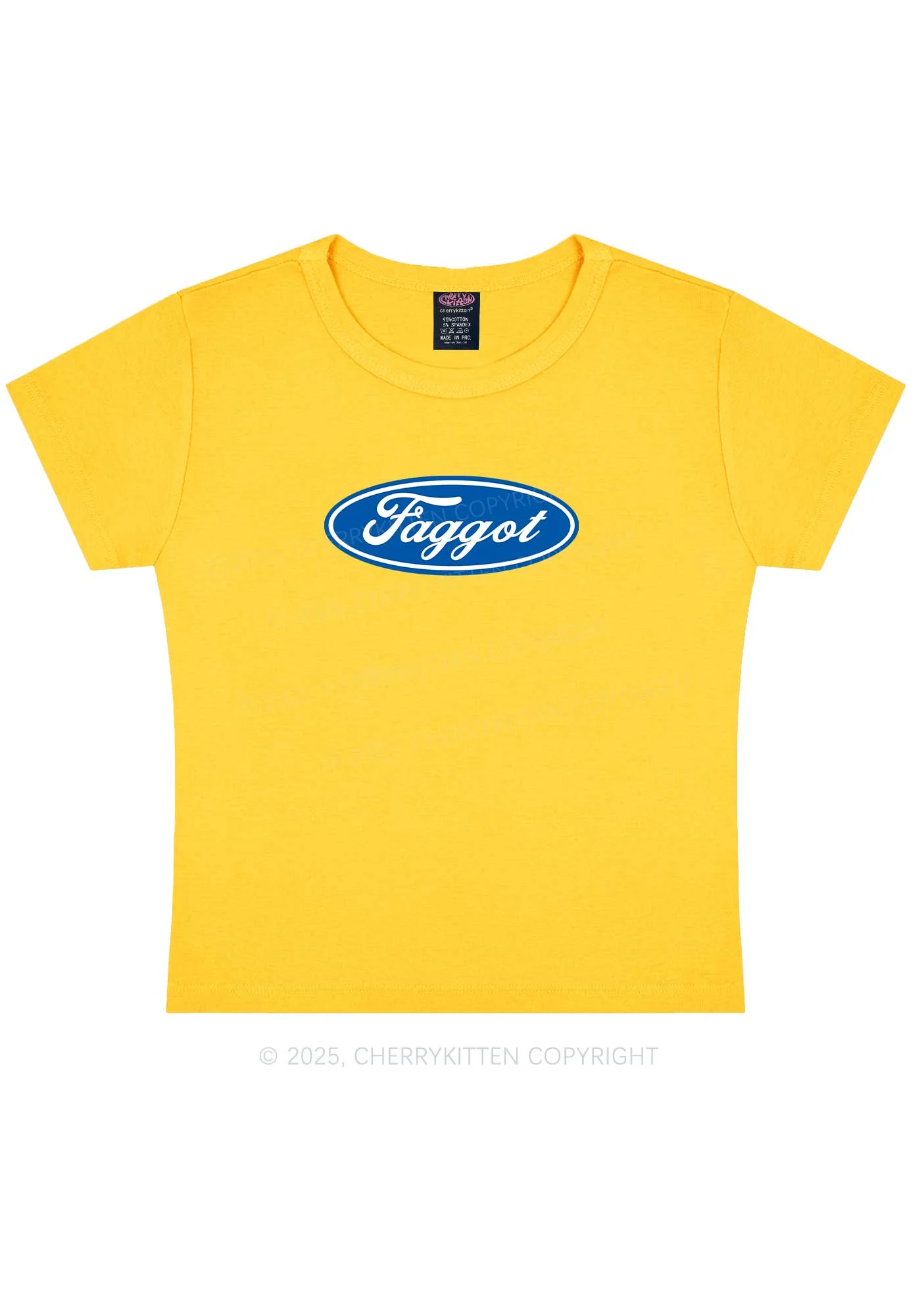 Faggot Pride Y2K Baby Tee Cherrykitten - Image 5