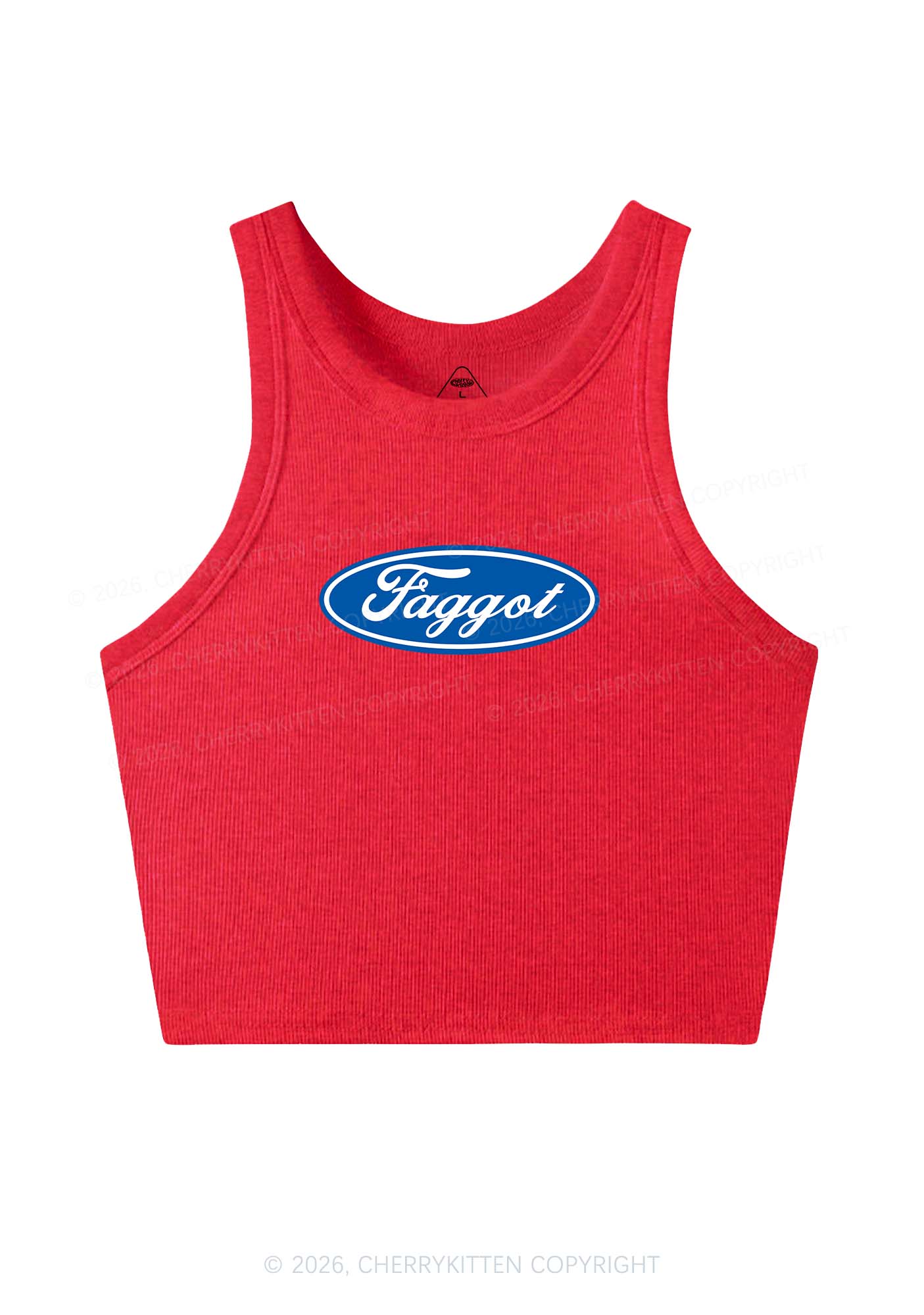 Faggot Pride Y2K Crop Tank Top Cherrykitten - Image 5