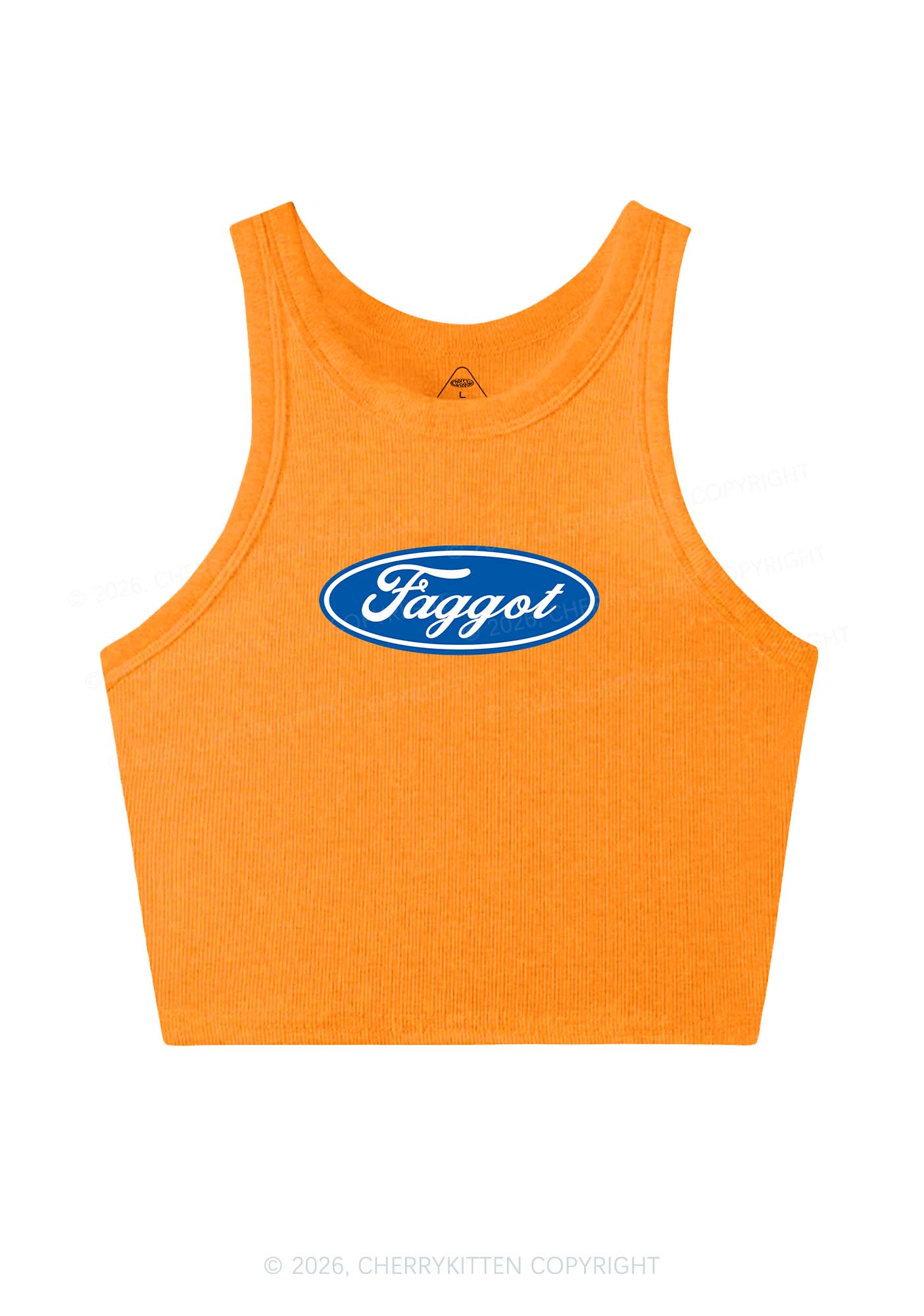 Faggot Pride Y2K Crop Tank Top Cherrykitten - Image 7