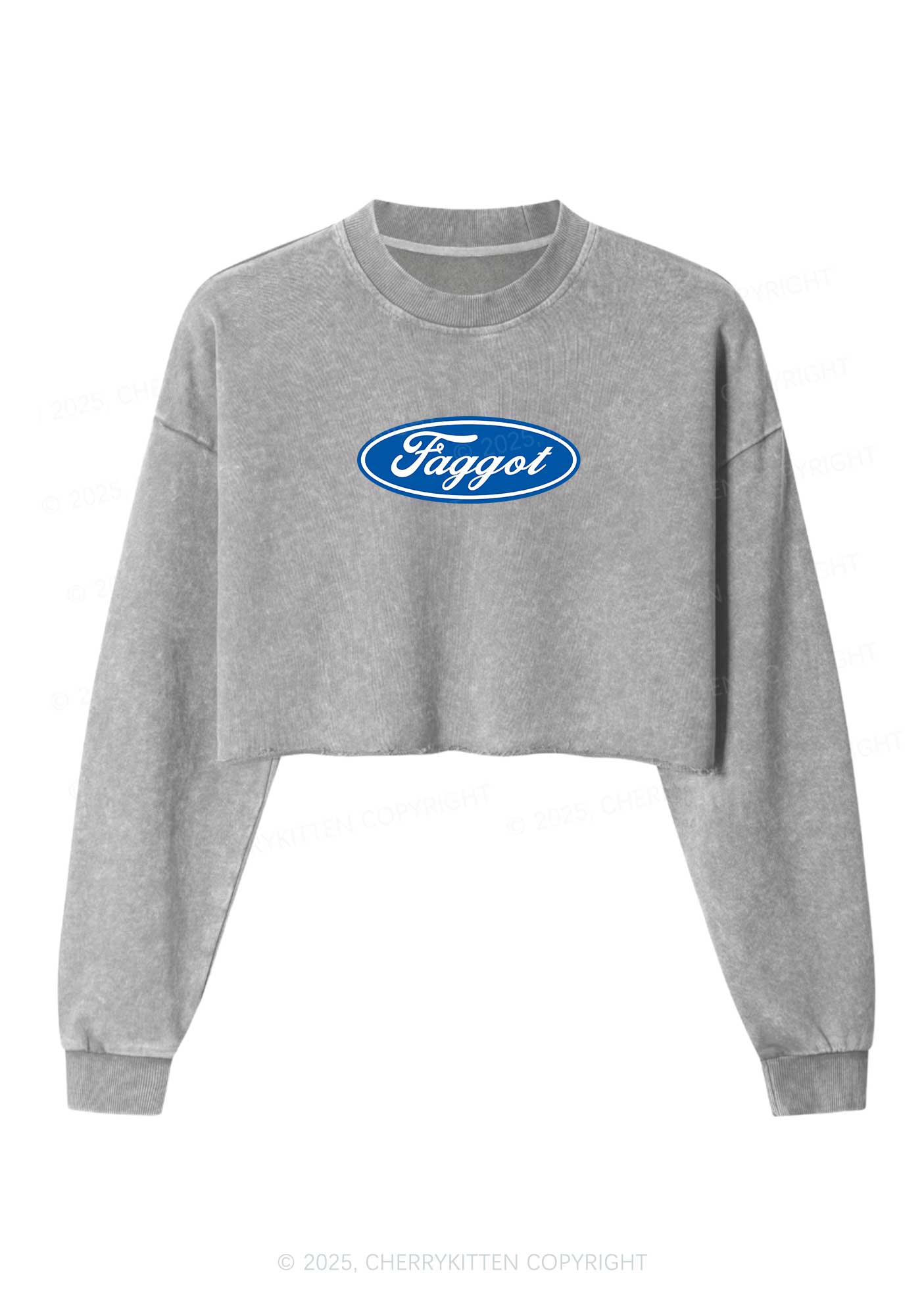 Faggot Pride Y2K Crop Washed Sweatshirts Cherrykitten - Image 2