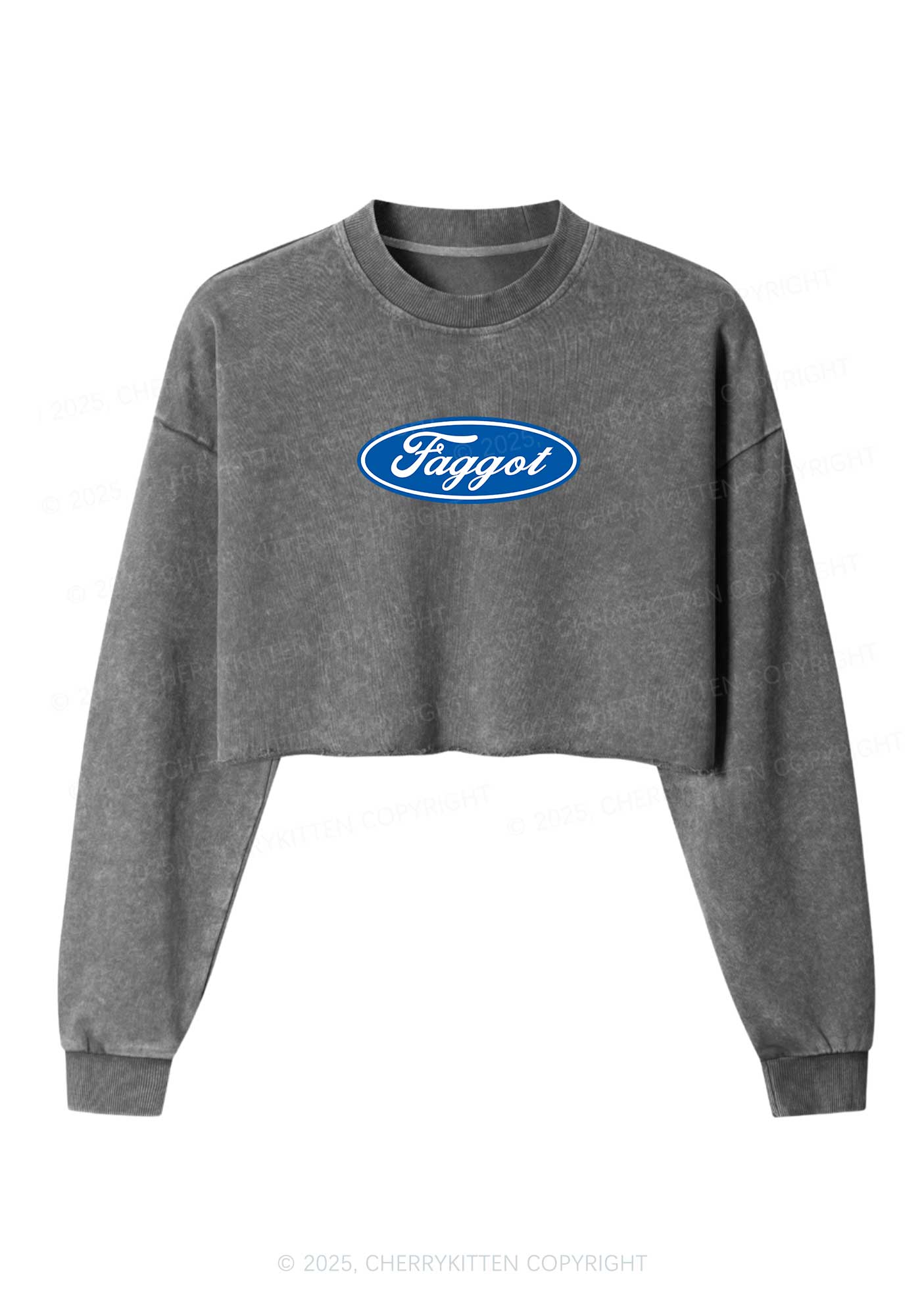 Faggot Pride Y2K Crop Washed Sweatshirts Cherrykitten - Image 3