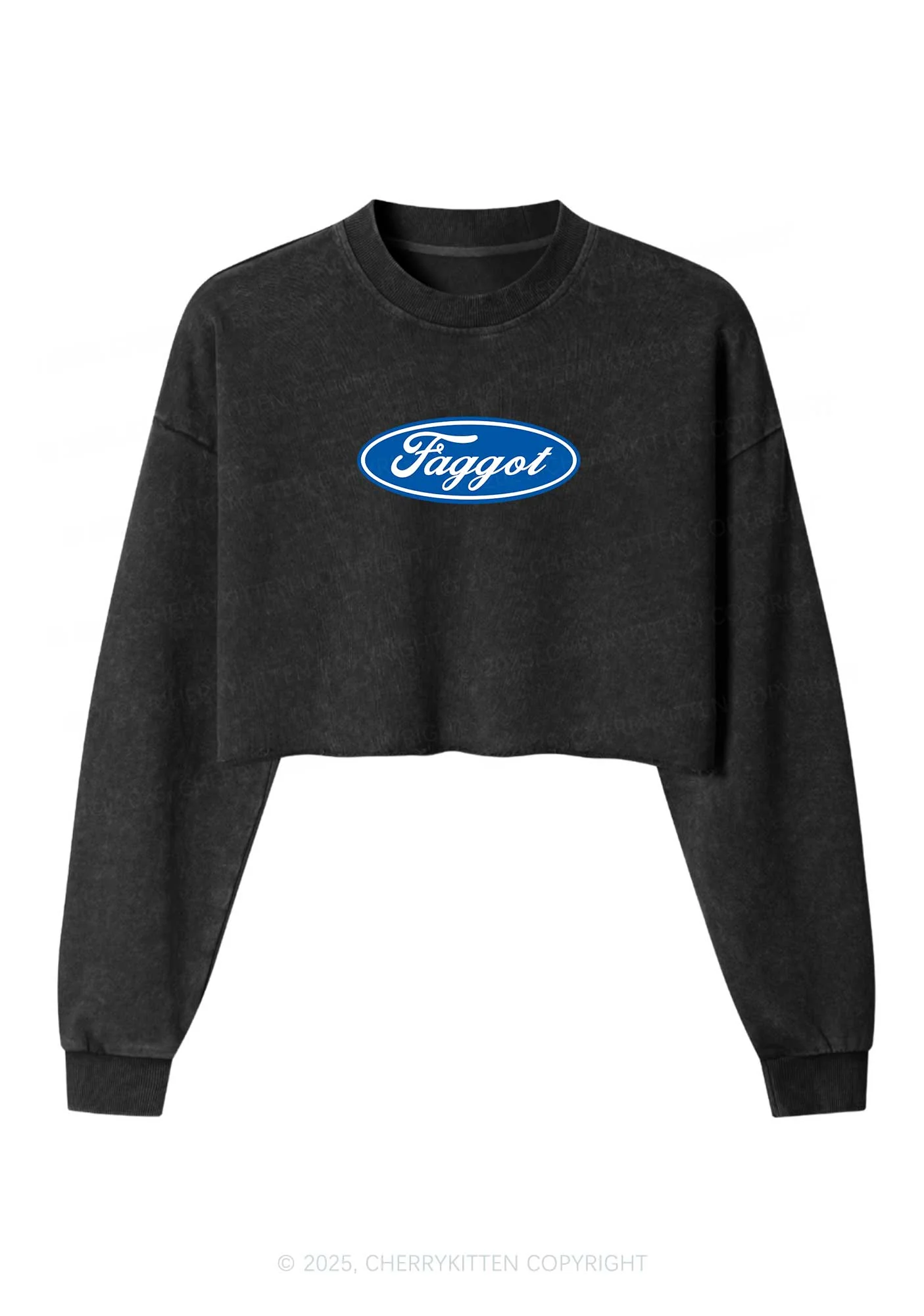 Faggot Pride Y2K Crop Washed Sweatshirts Cherrykitten - Image 4