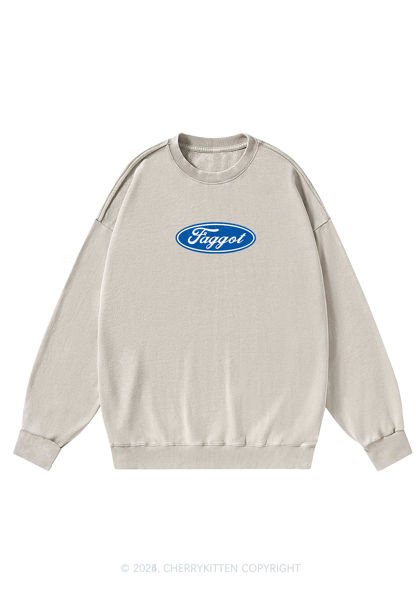 Faggot Pride Y2K Washed Sweatshirts Cherrykitten - Image 4