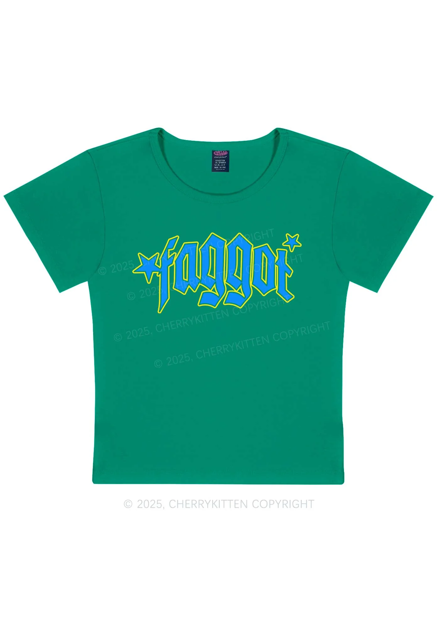Faggot Stars Pride Y2K Baby Tee Cherrykitten - Image 13
