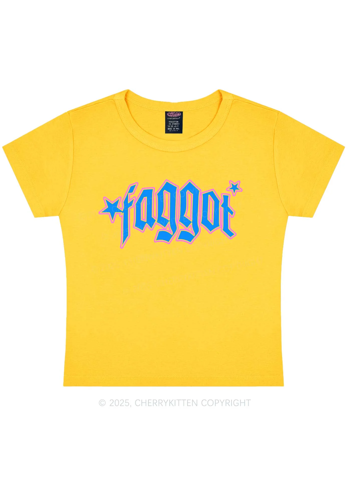 Faggot Stars Pride Y2K Baby Tee Cherrykitten - Image 4
