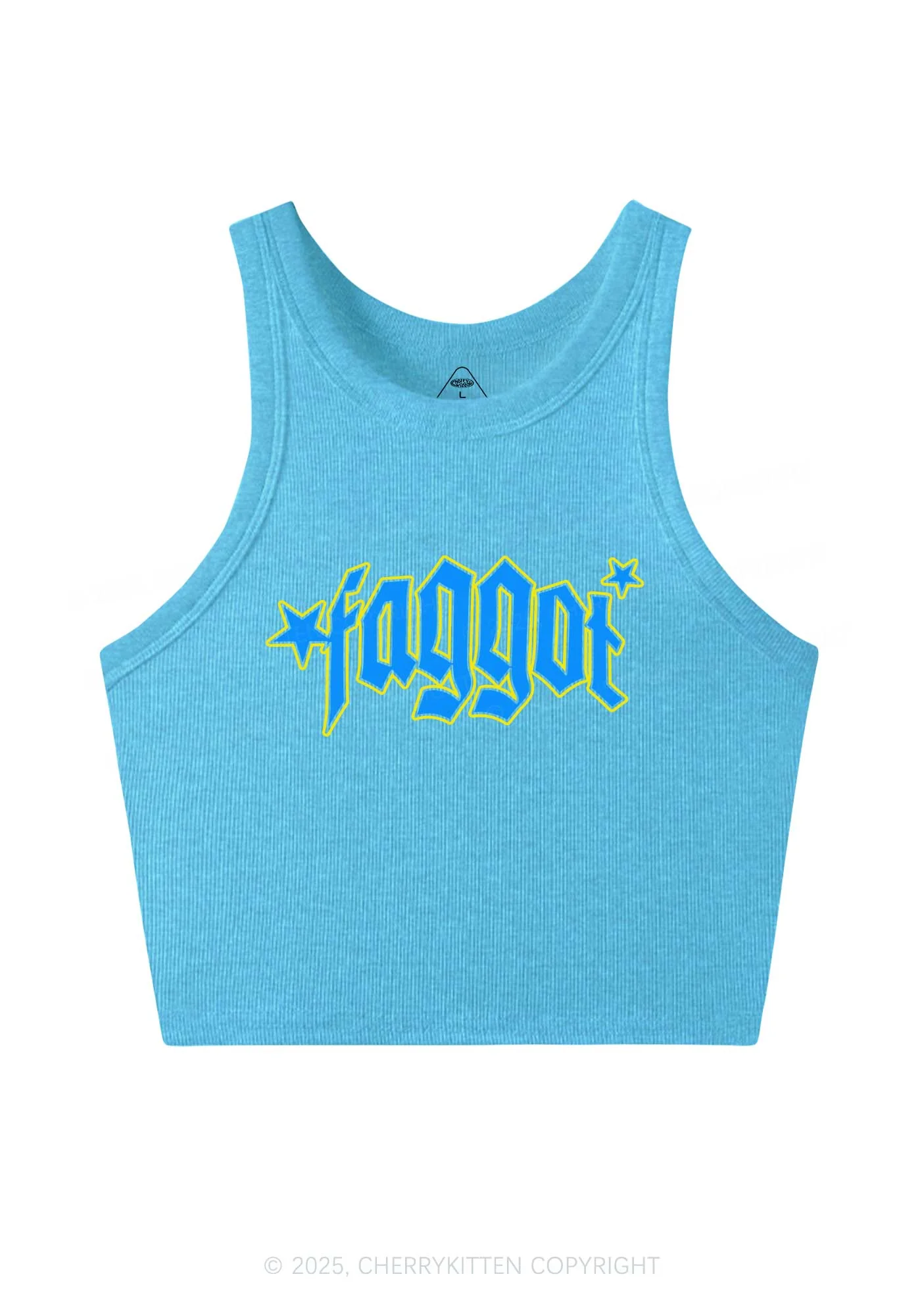 Faggot Stars Pride Y2K Crop Tank Top Cherrykitten - Image 5