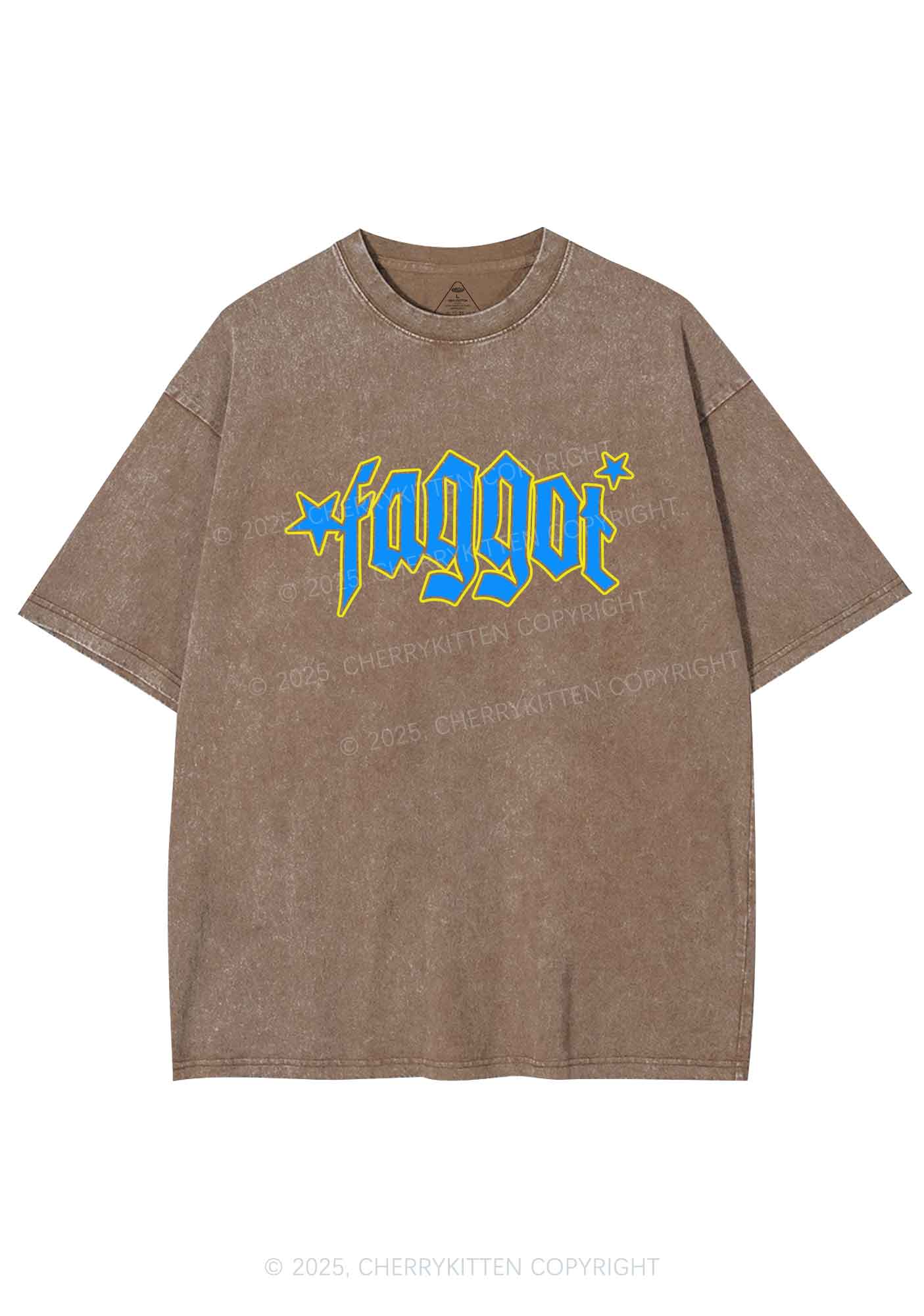 Faggot Stars Pride Y2K Shirts Washed Tee Cherrykitten - Image 6