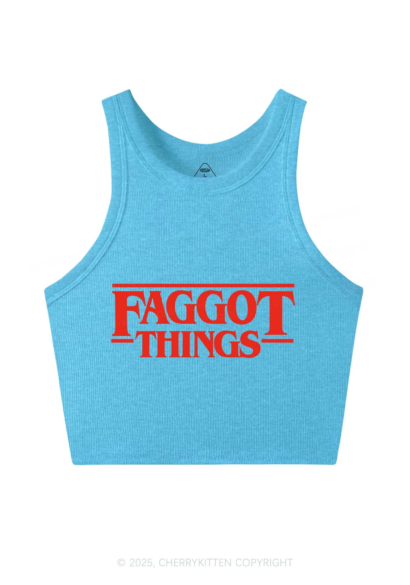 Faggot Things Pride Y2K Crop Tank Top Cherrykitten - Image 4