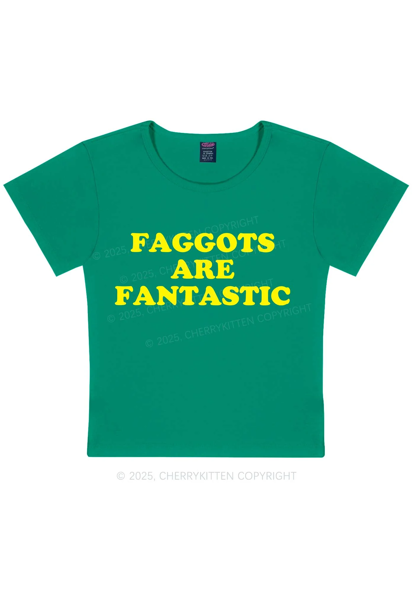 Faggots Are Fantastic Pride Y2K Baby Tee Cherrykitten - Image 11