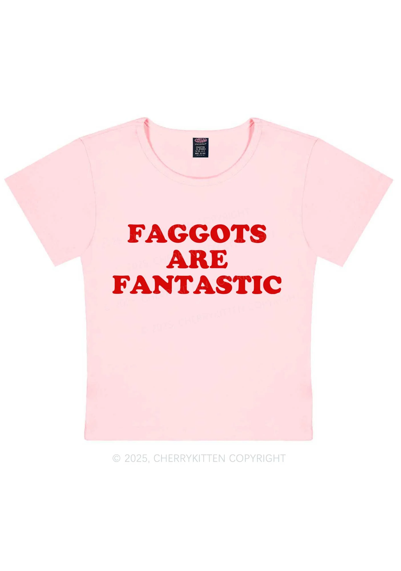 Faggots Are Fantastic Pride Y2K Baby Tee Cherrykitten - Image 12
