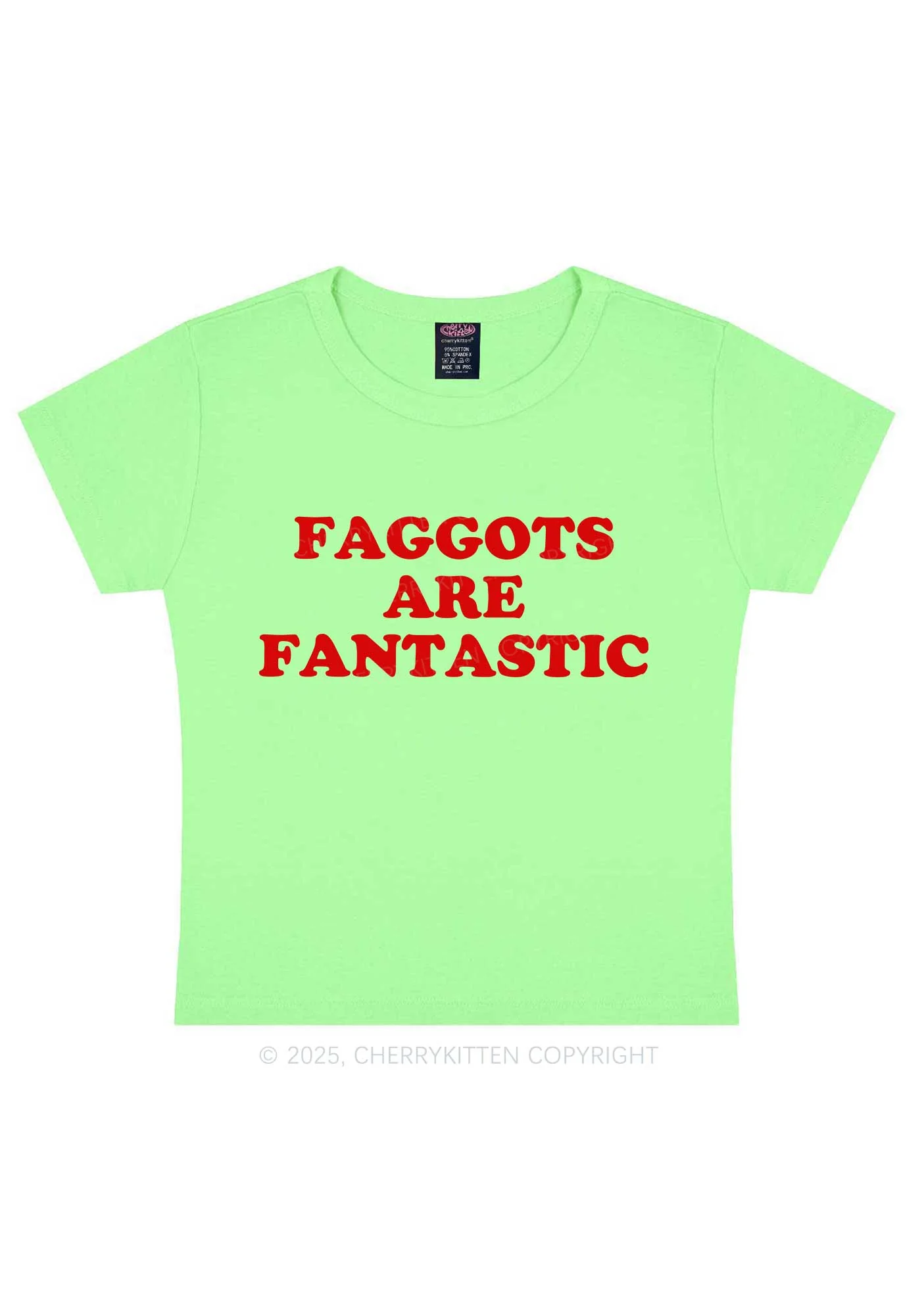 Faggots Are Fantastic Pride Y2K Baby Tee Cherrykitten - Image 13