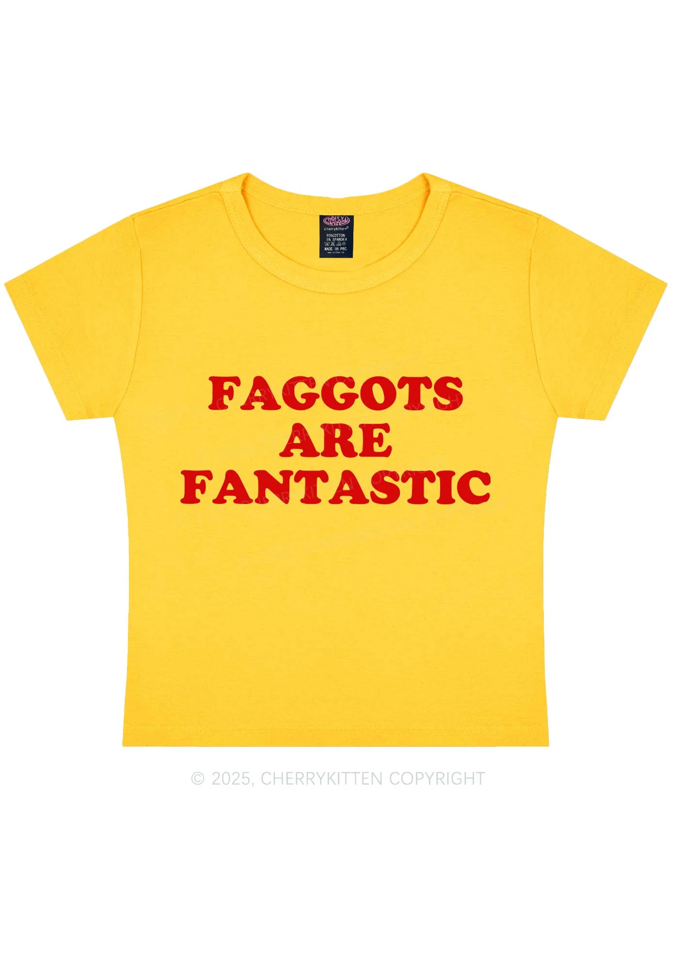 Faggots Are Fantastic Pride Y2K Baby Tee Cherrykitten - Image 5