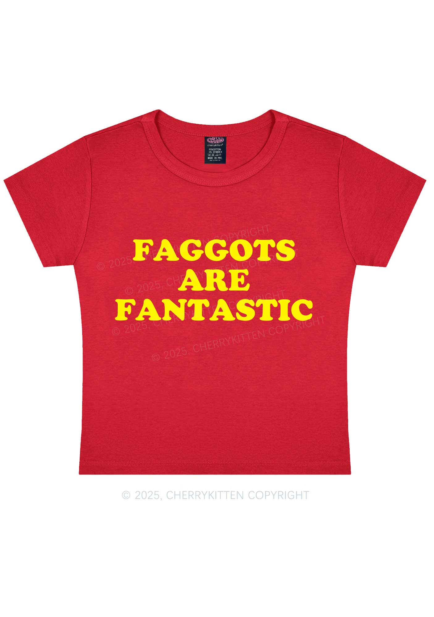 Faggots Are Fantastic Pride Y2K Baby Tee Cherrykitten - Image 6