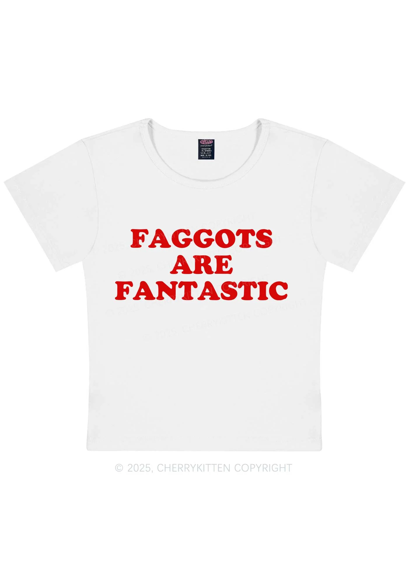 Faggots Are Fantastic Pride Y2K Baby Tee Cherrykitten - Image 7