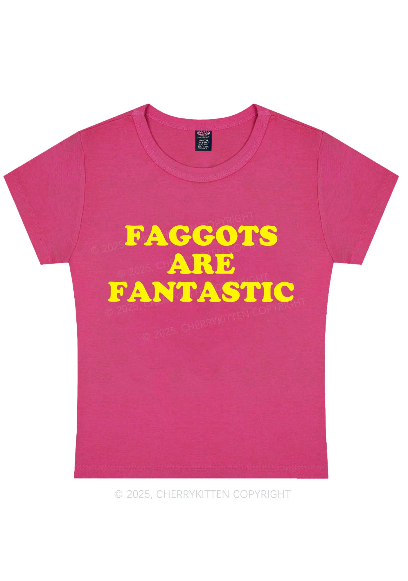 Faggots Are Fantastic Pride Y2K Baby Tee Cherrykitten - Image 8