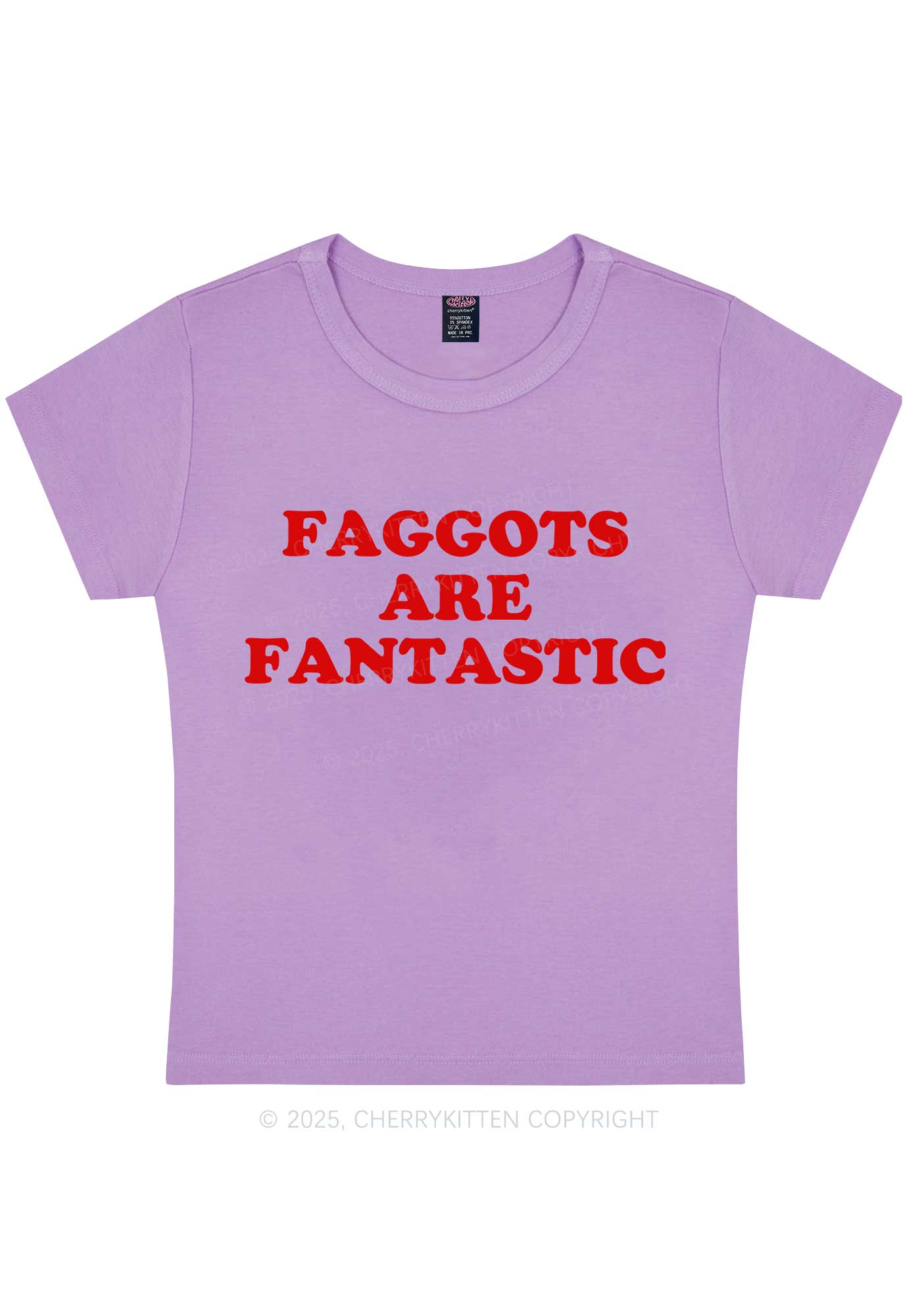 Faggots Are Fantastic Pride Y2K Baby Tee Cherrykitten - Image 9
