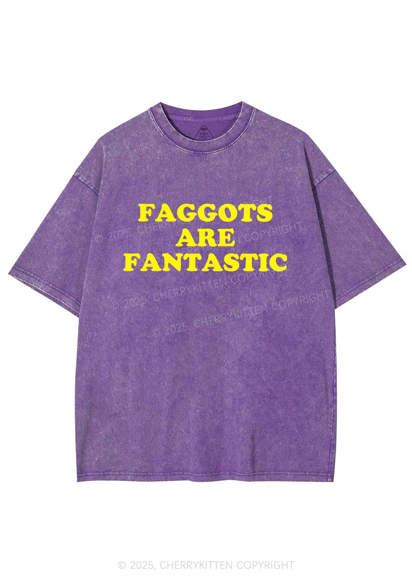 Faggots Are Fantastic Pride Y2K Shirts Washed Tee Cherrykitten - Image 4