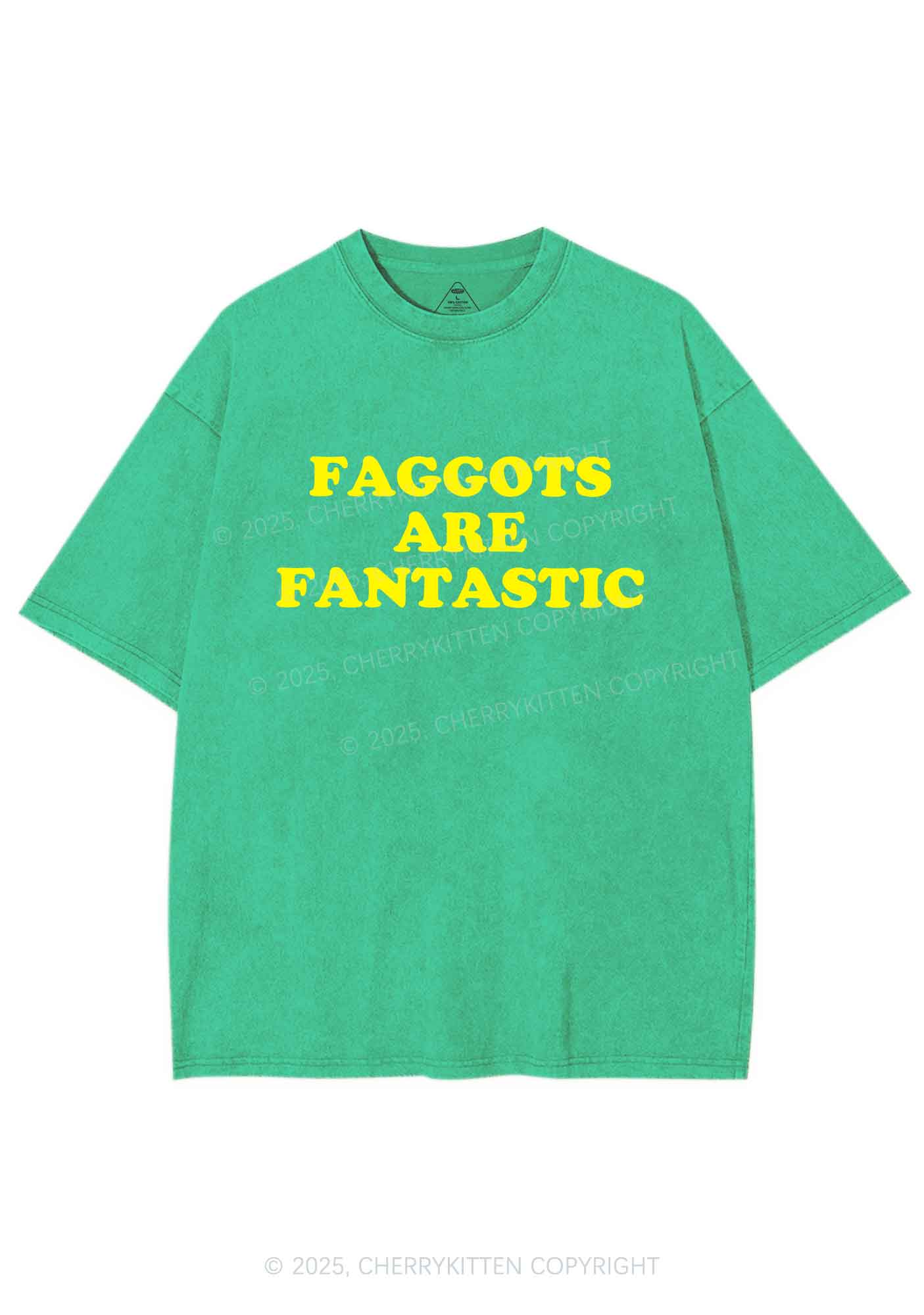 Faggots Are Fantastic Pride Y2K Shirts Washed Tee Cherrykitten - Image 6