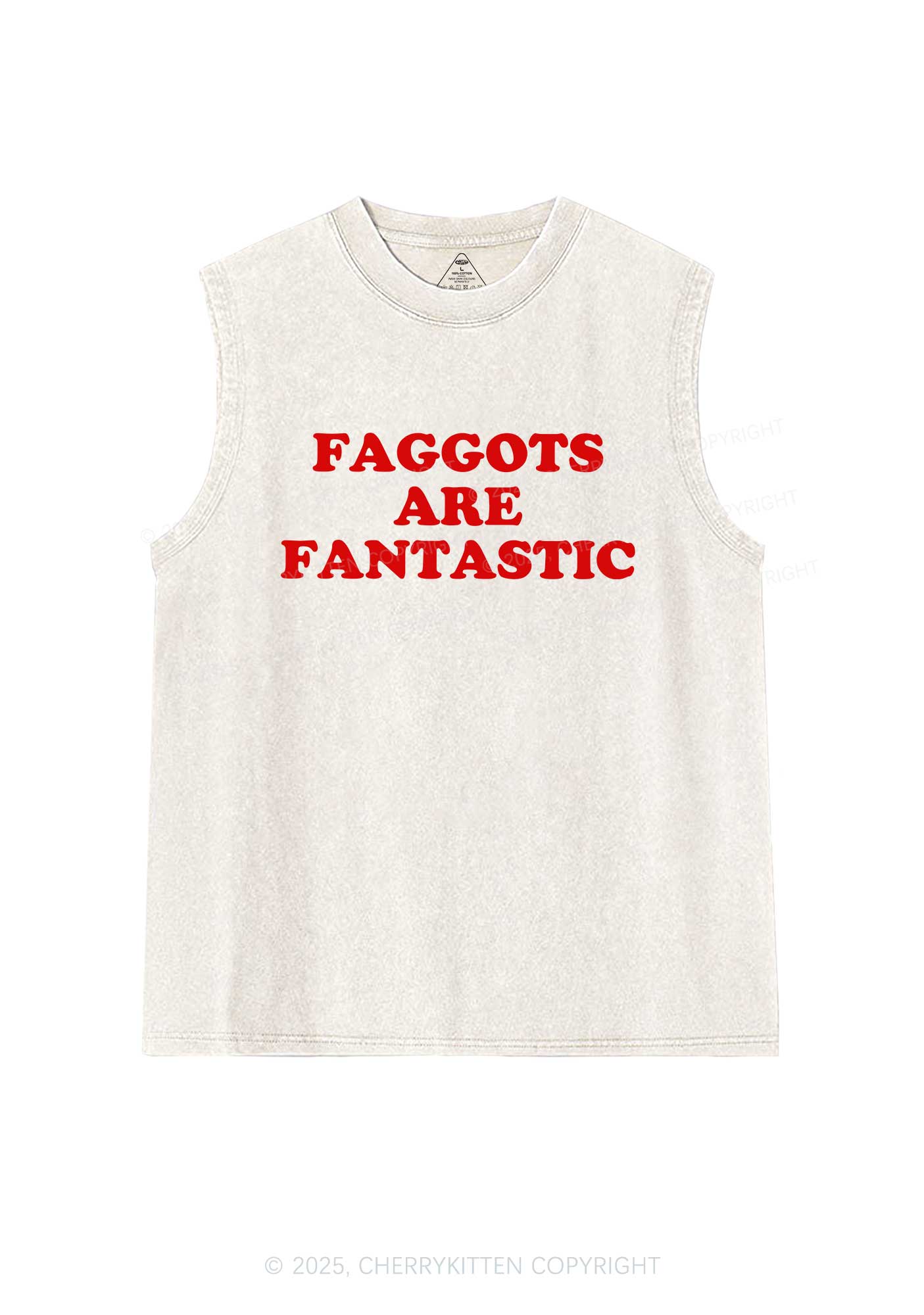 Faggots Are Fantastic Pride Y2K Washed Muscle Tank Cherrykitten - Image 4