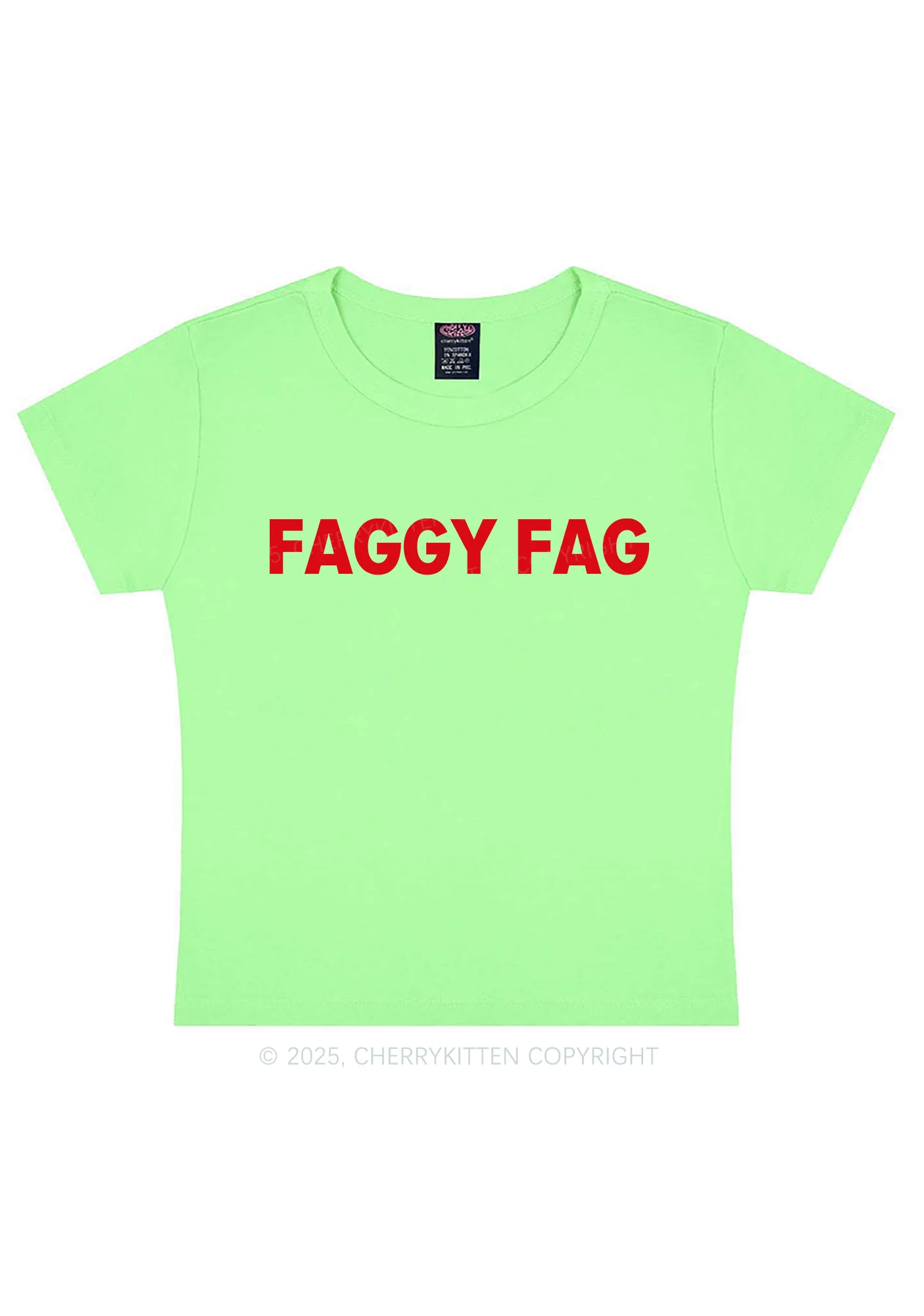 Faggy Fag Pride Y2K Baby Tee Cherrykitten - Image 10