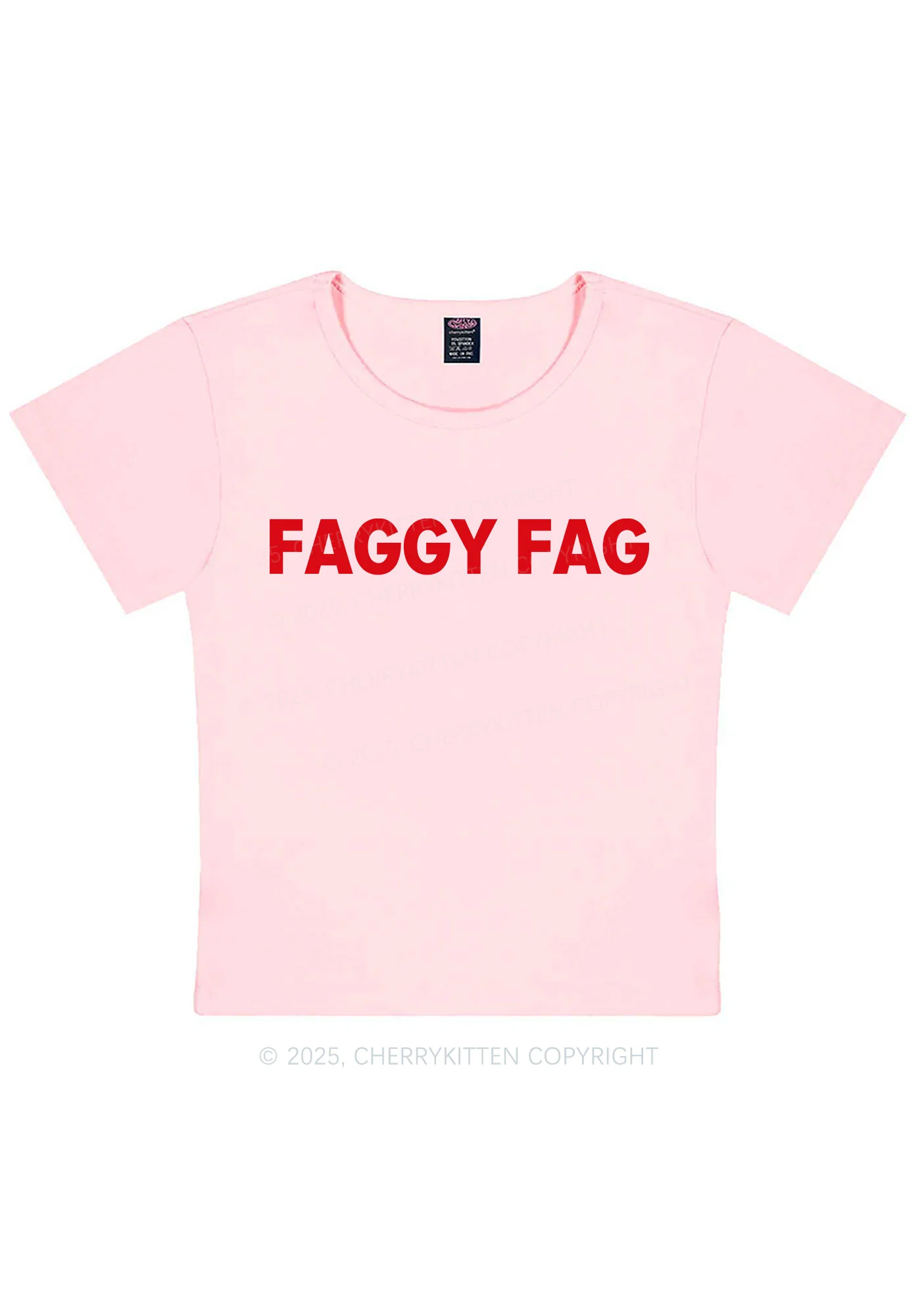 Faggy Fag Pride Y2K Baby Tee Cherrykitten - Image 11