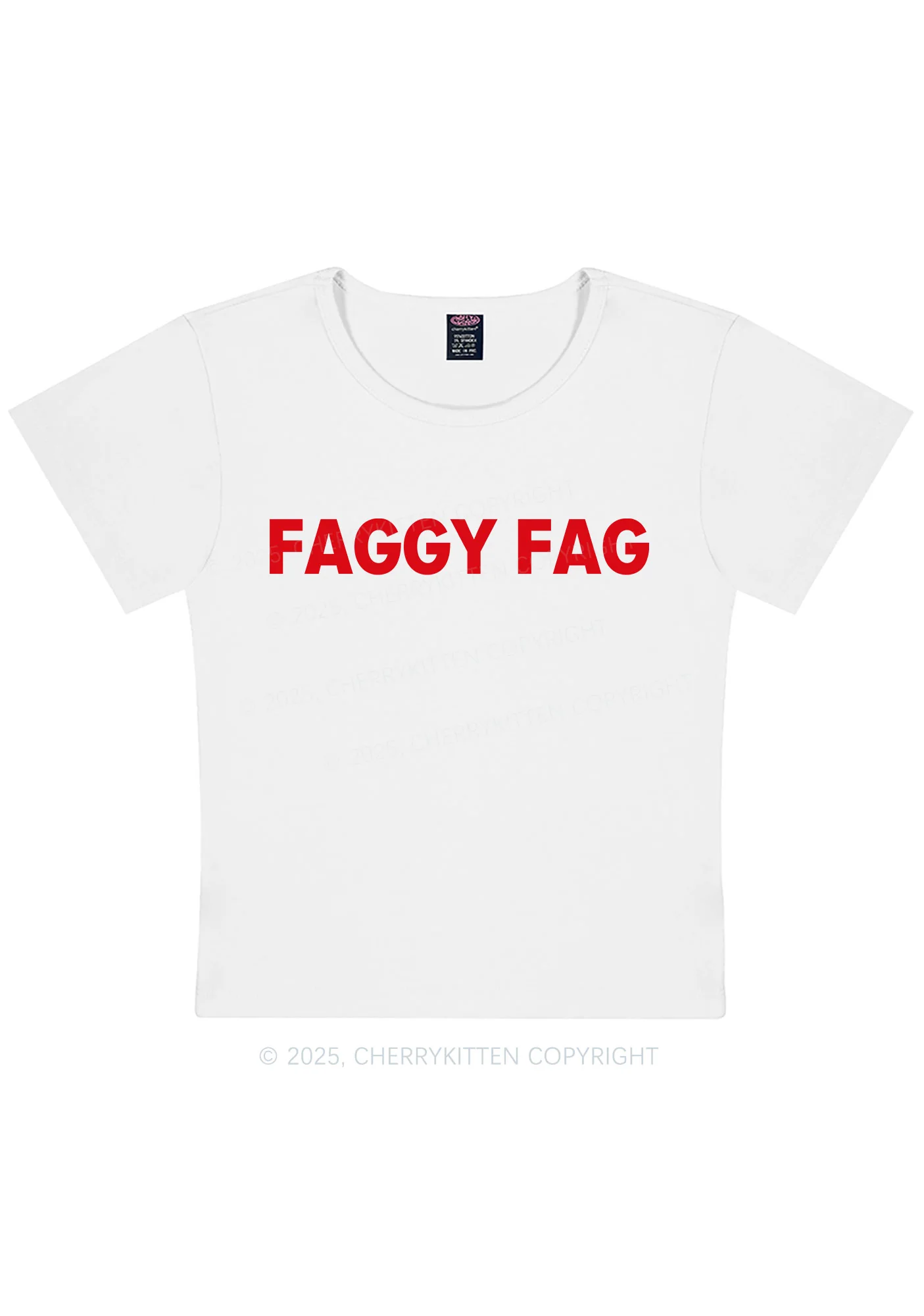 Faggy Fag Pride Y2K Baby Tee Cherrykitten - Image 5