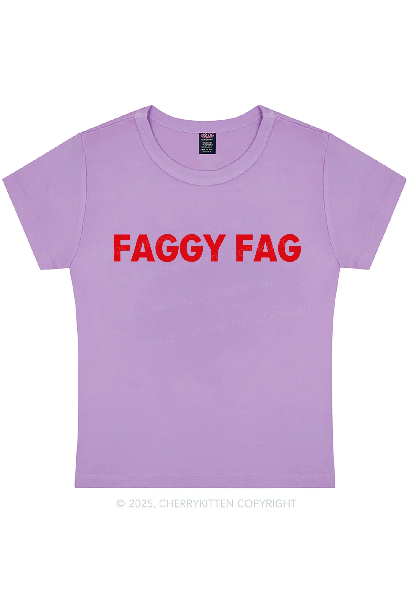 Faggy Fag Pride Y2K Baby Tee Cherrykitten - Image 6