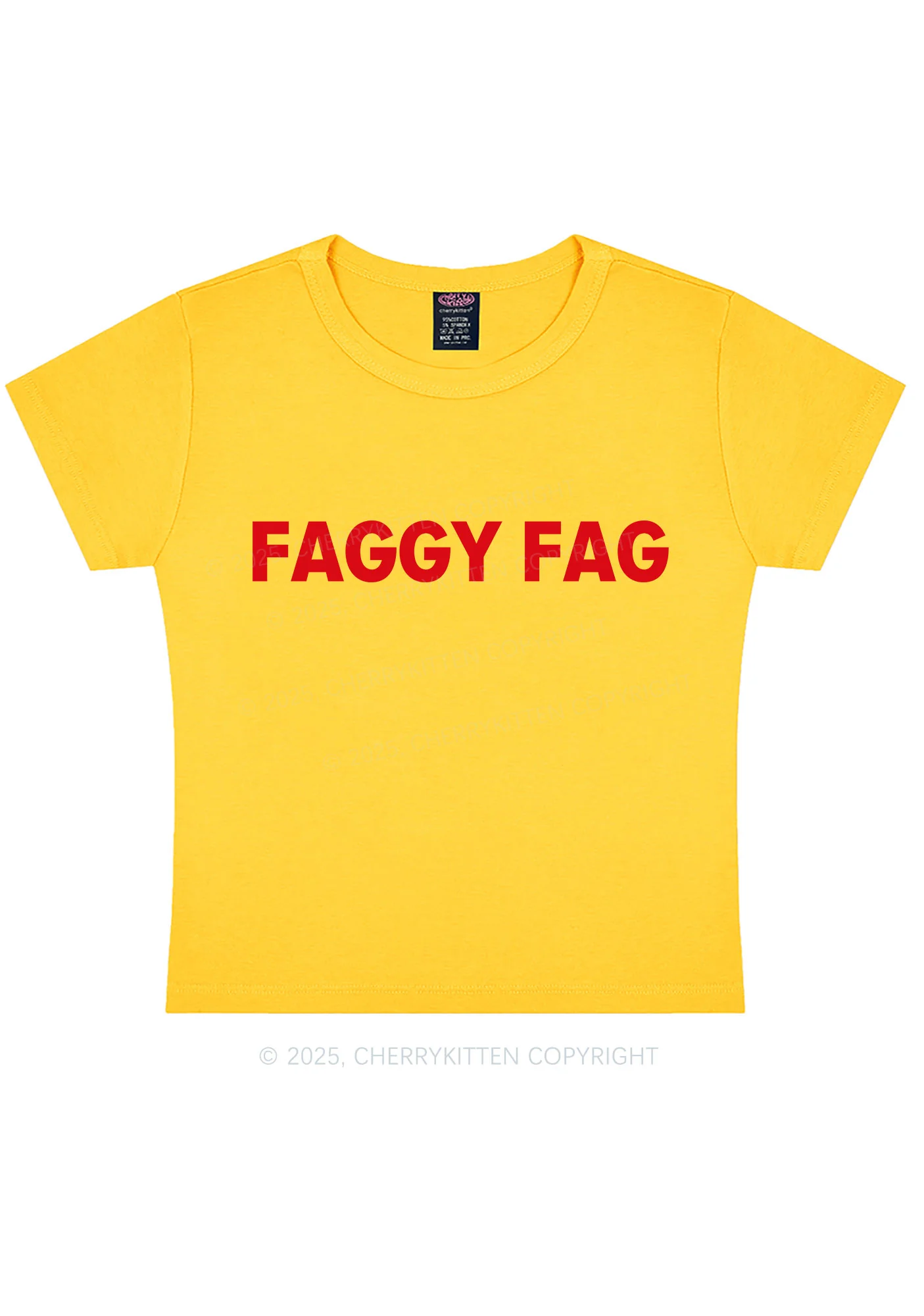 Faggy Fag Pride Y2K Baby Tee Cherrykitten - Image 7