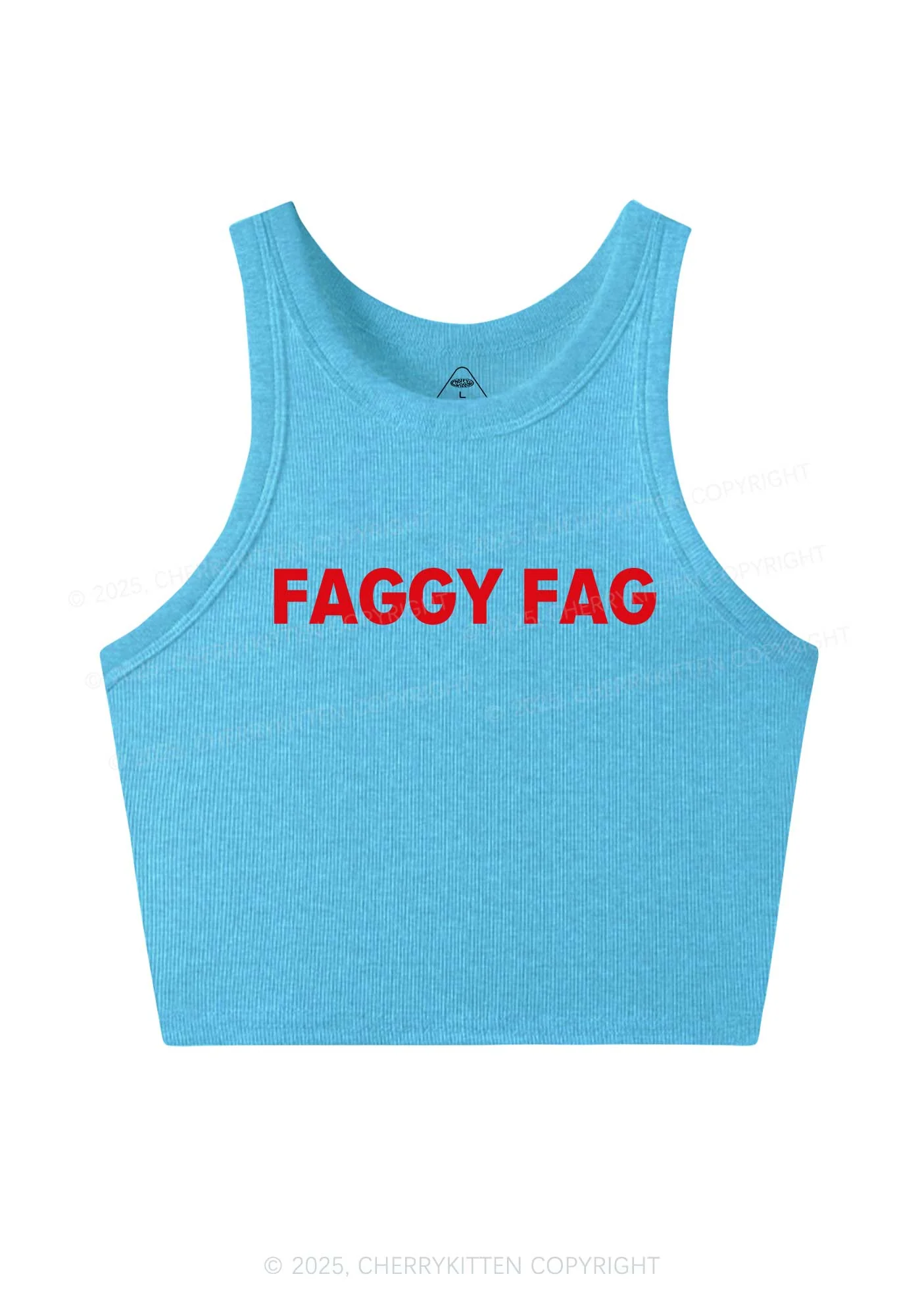 Faggy Fag Pride Y2K Crop Tank Top Cherrykitten - Image 5