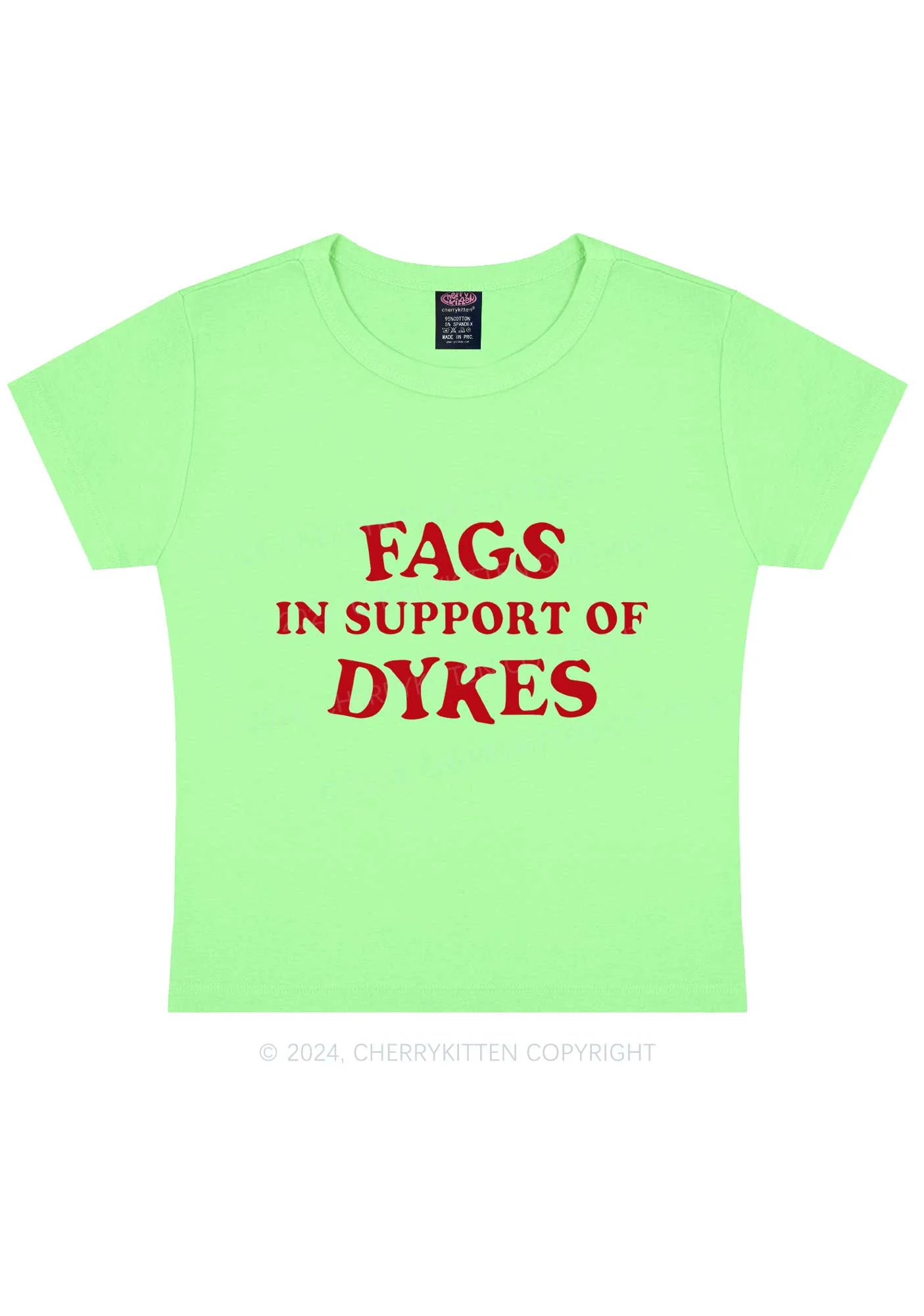 Fags Dykes Y2K Baby Tee Cherrykitten - Image 10