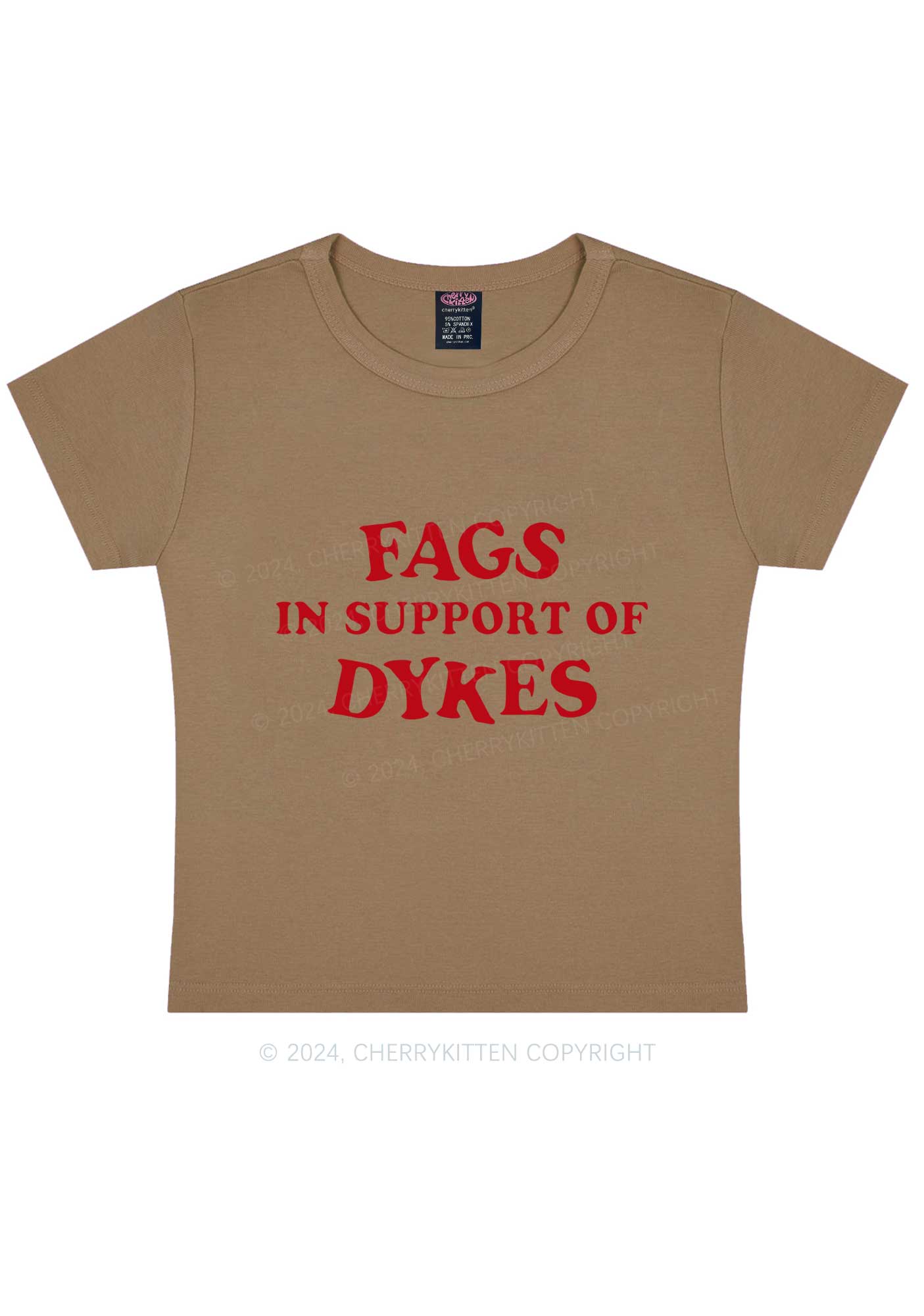 Fags Dykes Y2K Baby Tee Cherrykitten - Image 11