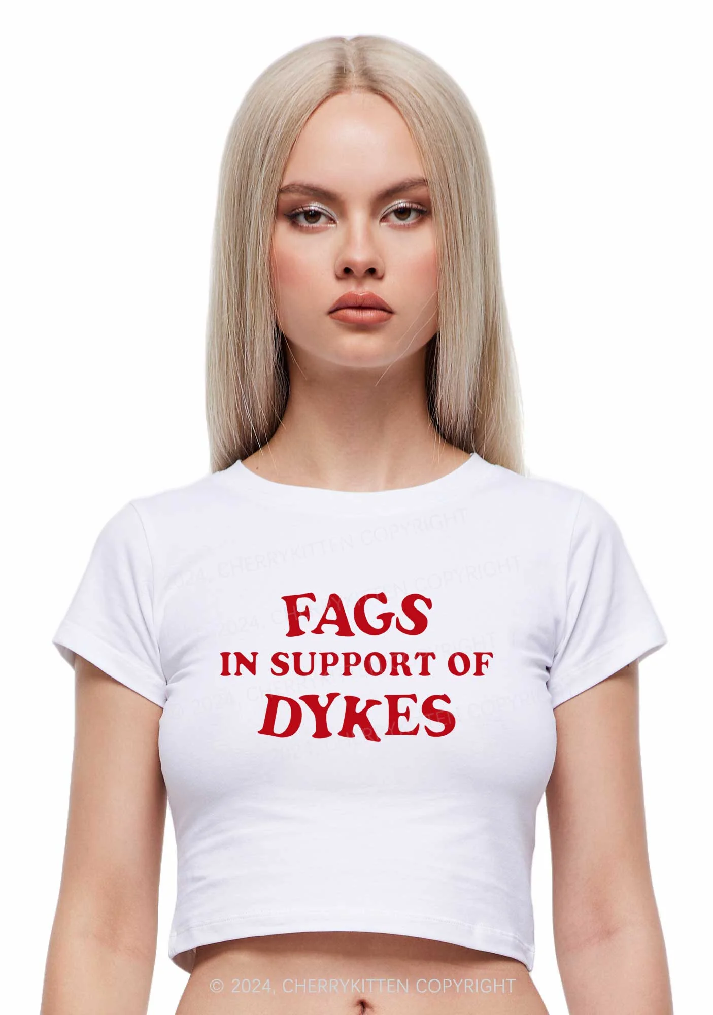 Fags Dykes Y2K Baby Tee Cherrykitten - Image 4
