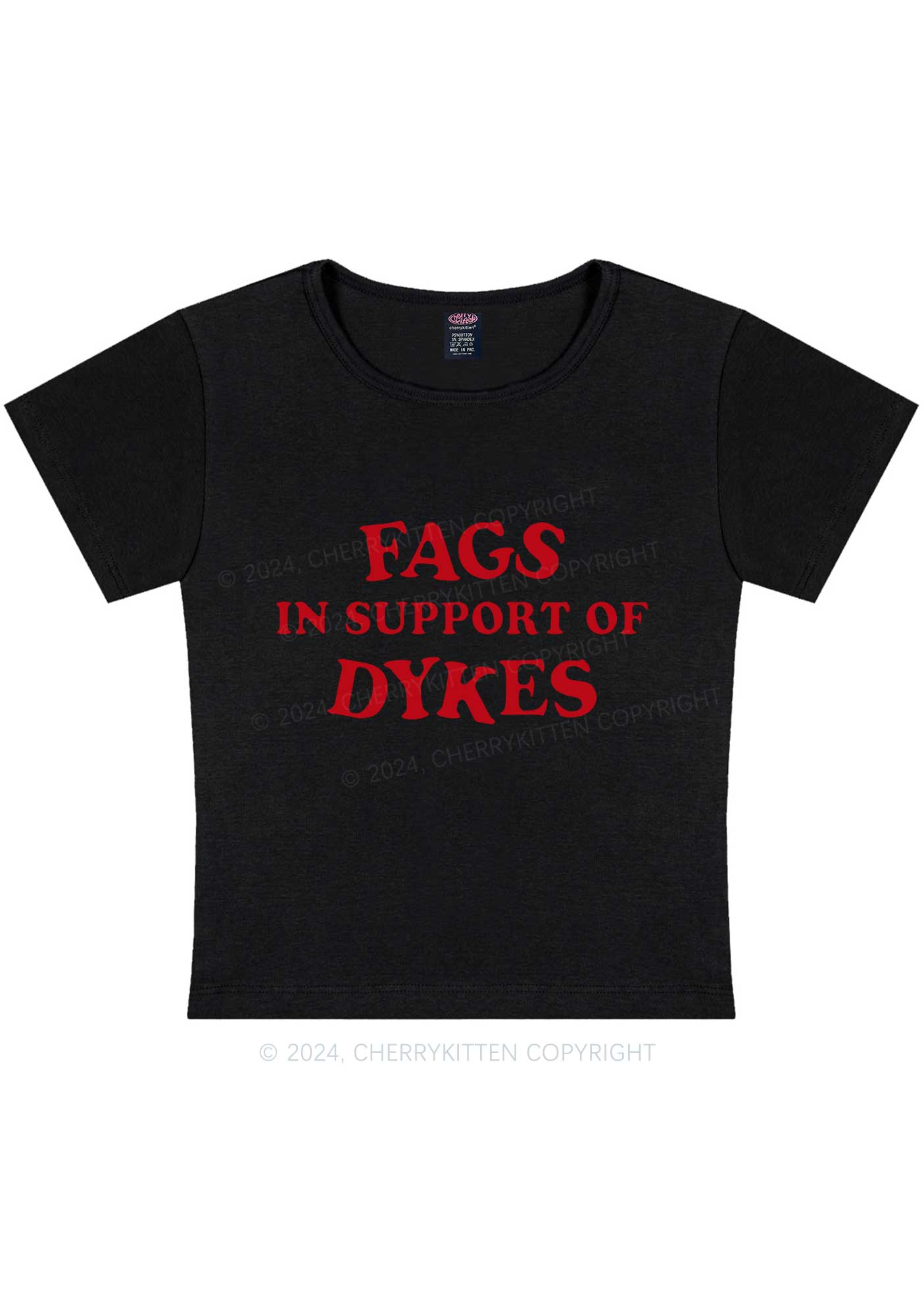Fags Dykes Y2K Baby Tee Cherrykitten - Image 5