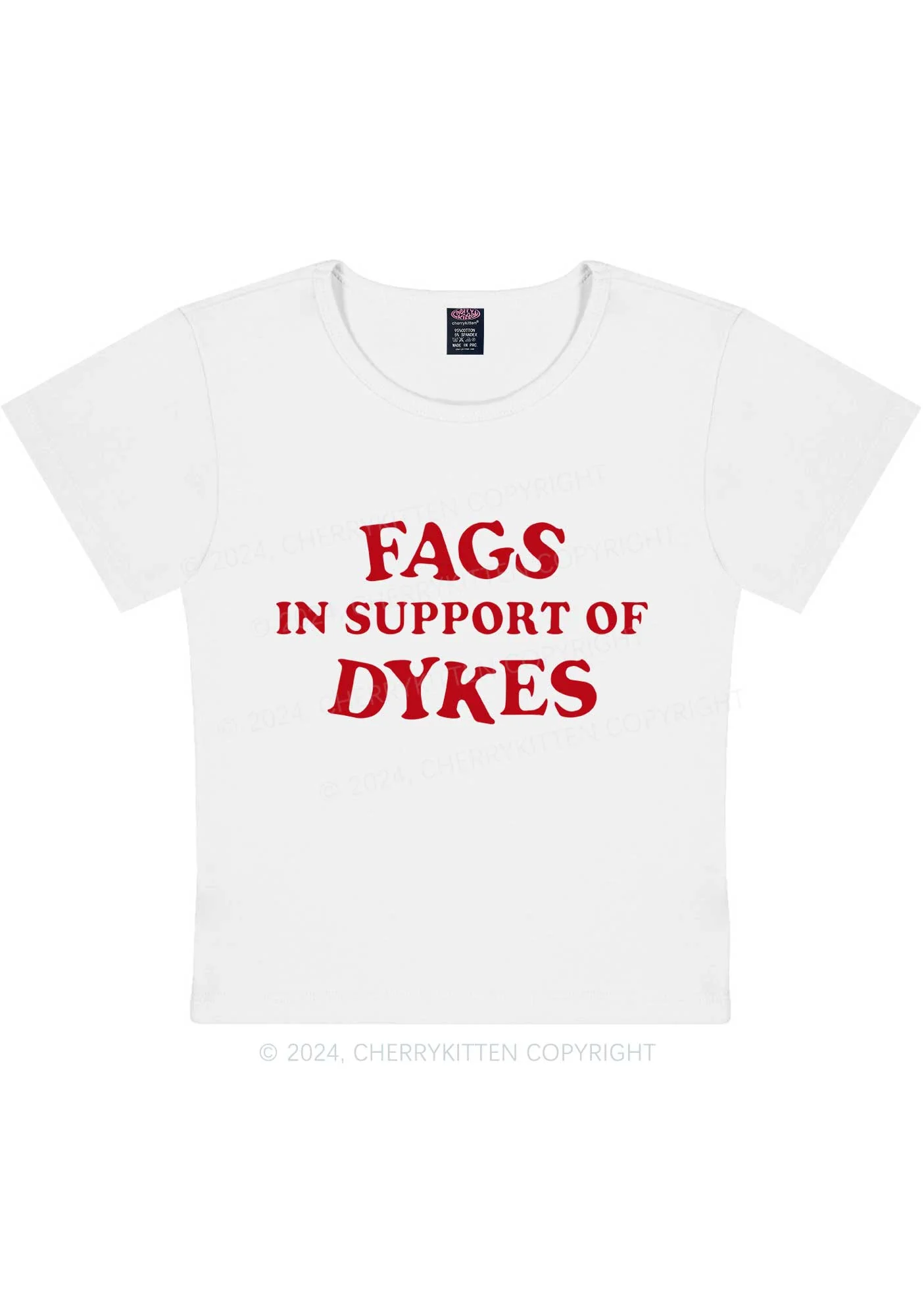 Fags Dykes Y2K Baby Tee Cherrykitten - Image 6