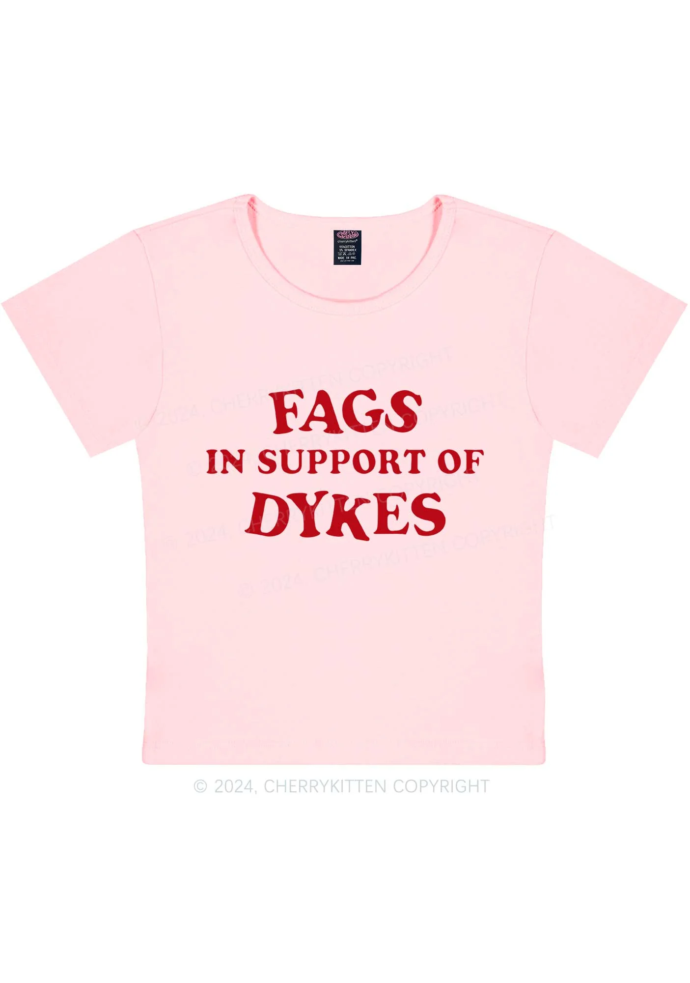 Fags Dykes Y2K Baby Tee Cherrykitten - Image 9