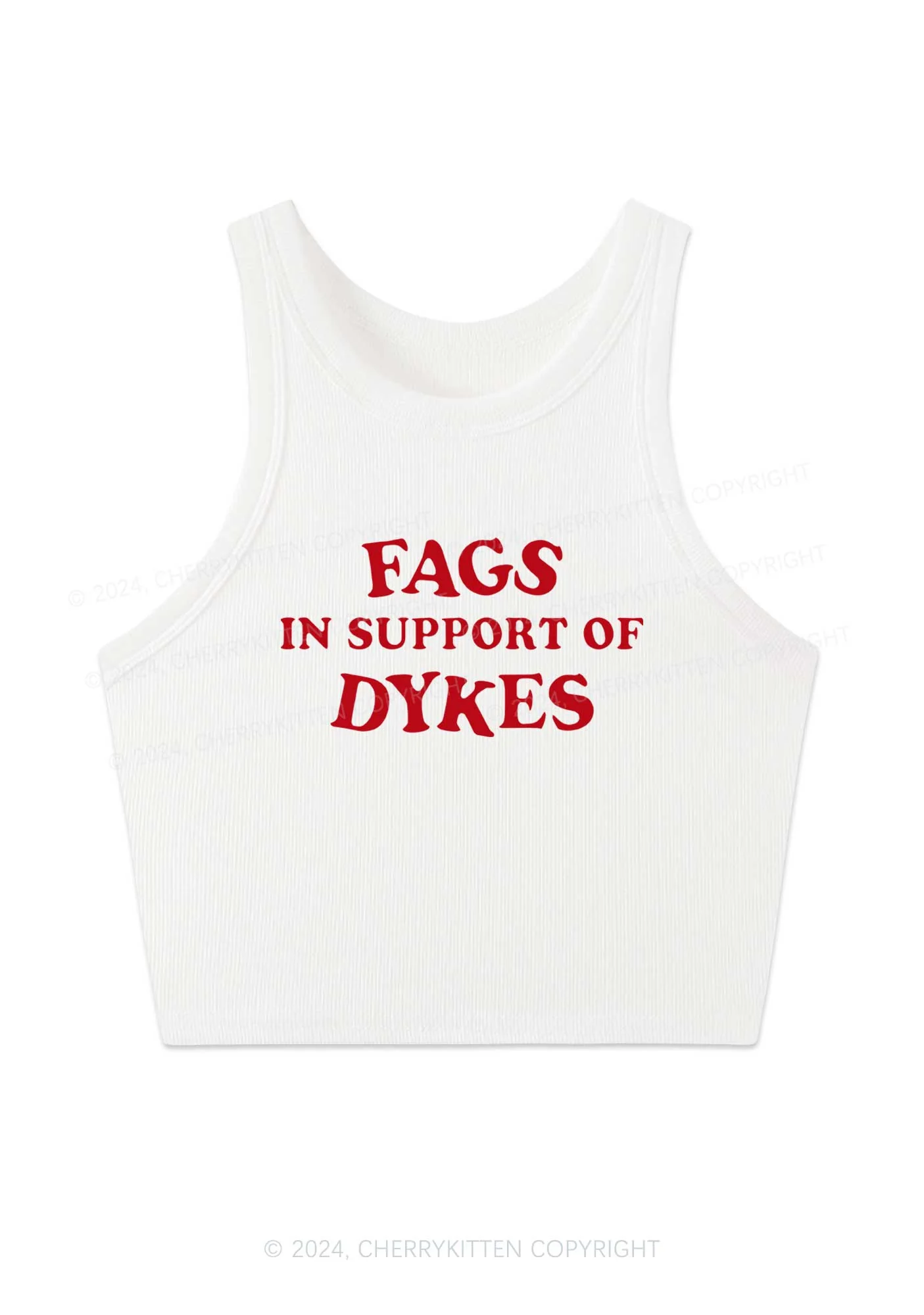 Fags Dykes Y2K Crop Tank Top Cherrykitten - Image 2