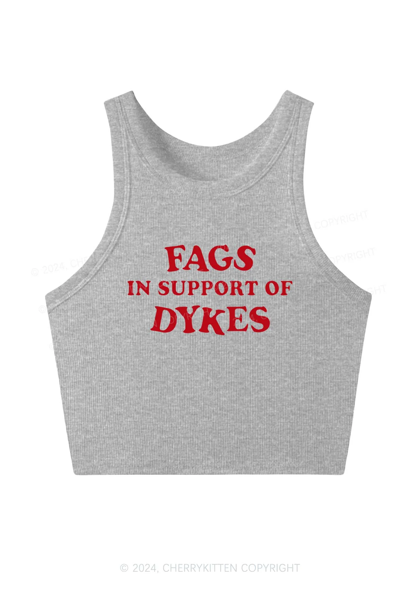 Fags Dykes Y2K Crop Tank Top Cherrykitten - Image 3