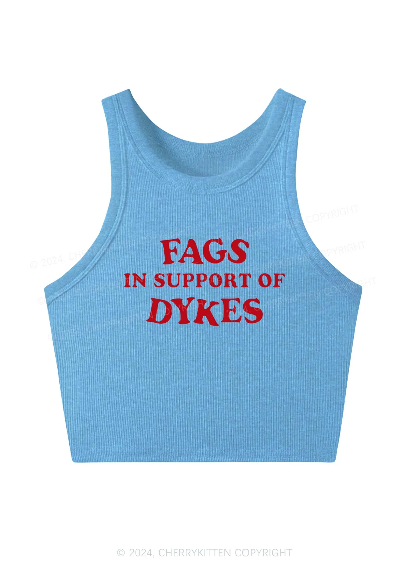 Fags Dykes Y2K Crop Tank Top Cherrykitten - Image 4