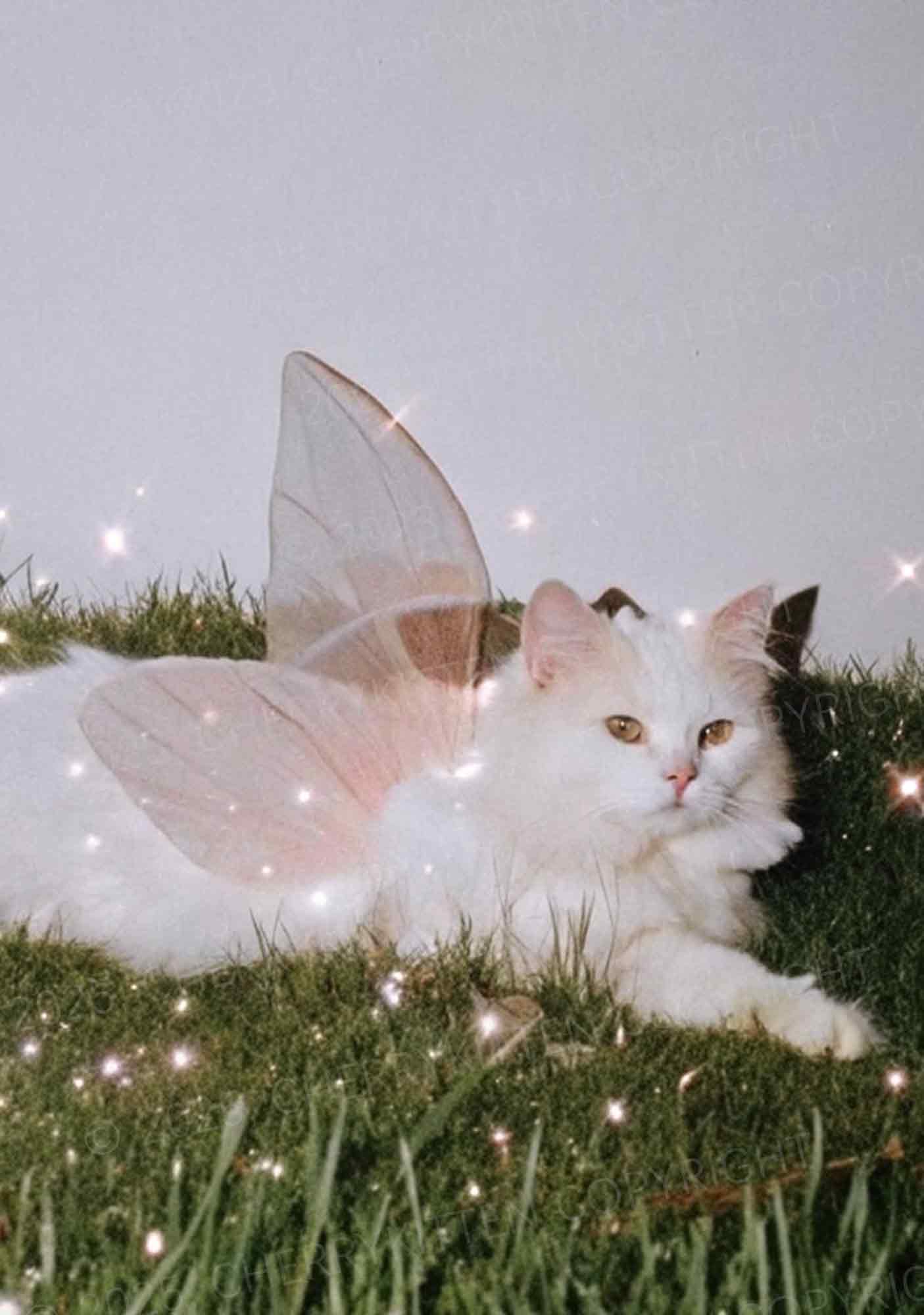 Fairy Cat Y2K Phone Case Cherrykitten - Image 2