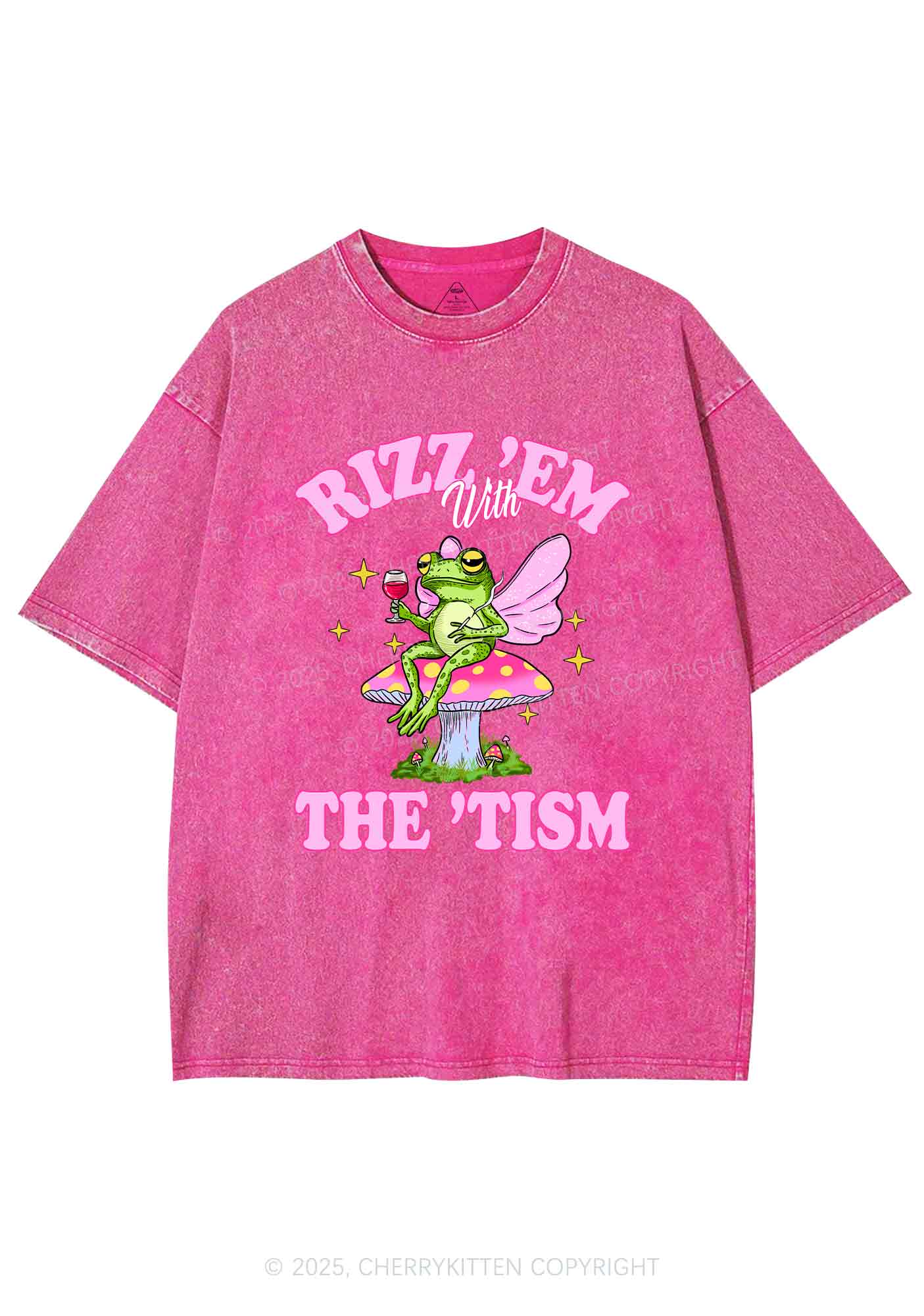 Fairy Frog Rizz Tism Y2K Shirts Washed Tee Cherrykitten - Image 3