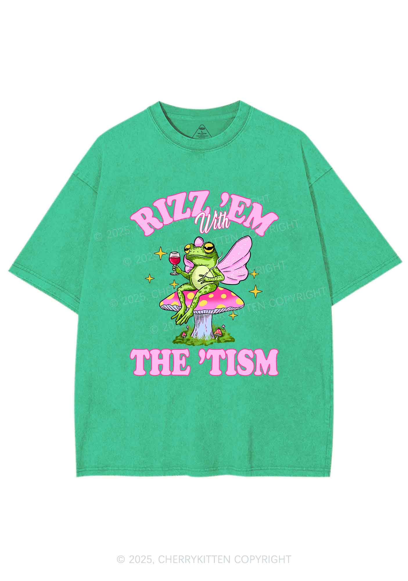 Fairy Frog Rizz Tism Y2K Shirts Washed Tee Cherrykitten - Image 4
