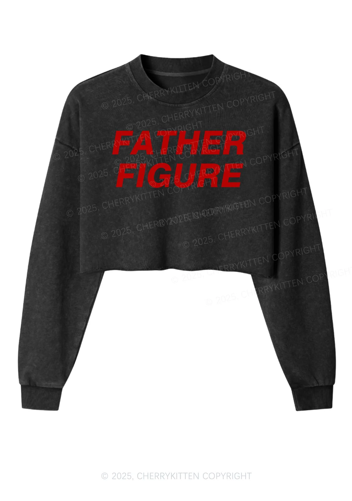 Father Figure Y2K Crop Washed Sweatshirts Cherrykitten - Image 3