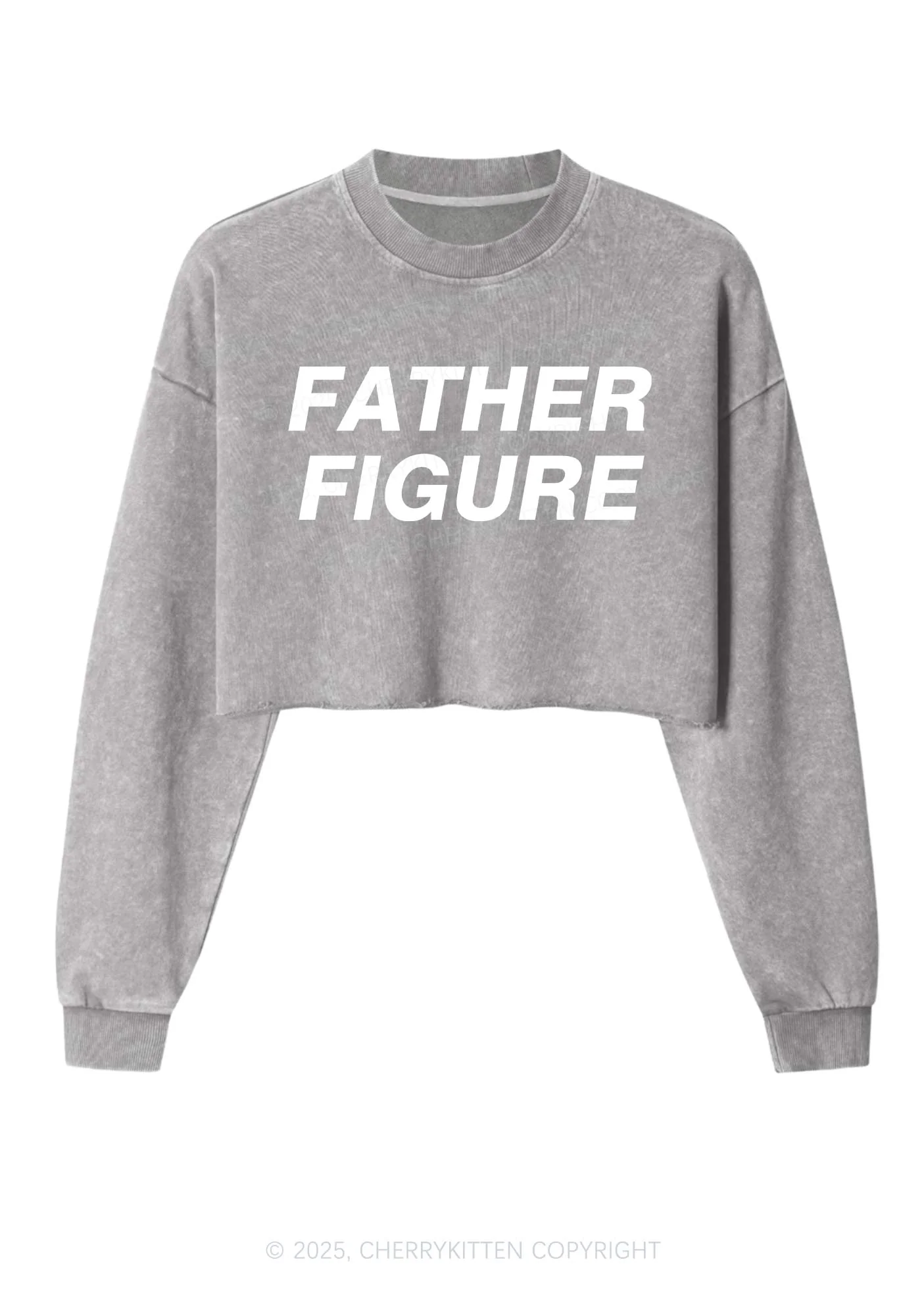 Father Figure Y2K Crop Washed Sweatshirts Cherrykitten - Image 4