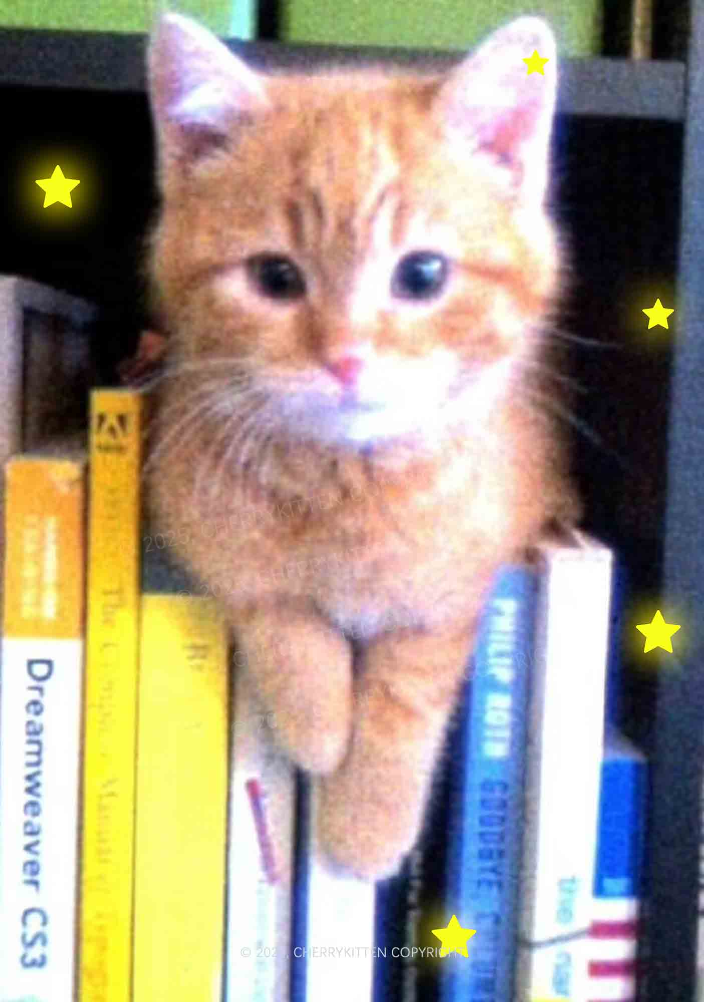 Feline Bookworm Y2K Mesh Cami Tank Cherrykitten - Image 2