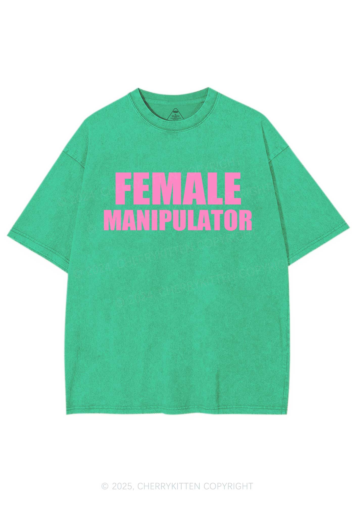 Female Manipulator Y2K Shirts Washed Tee Cherrykitten - Image 8