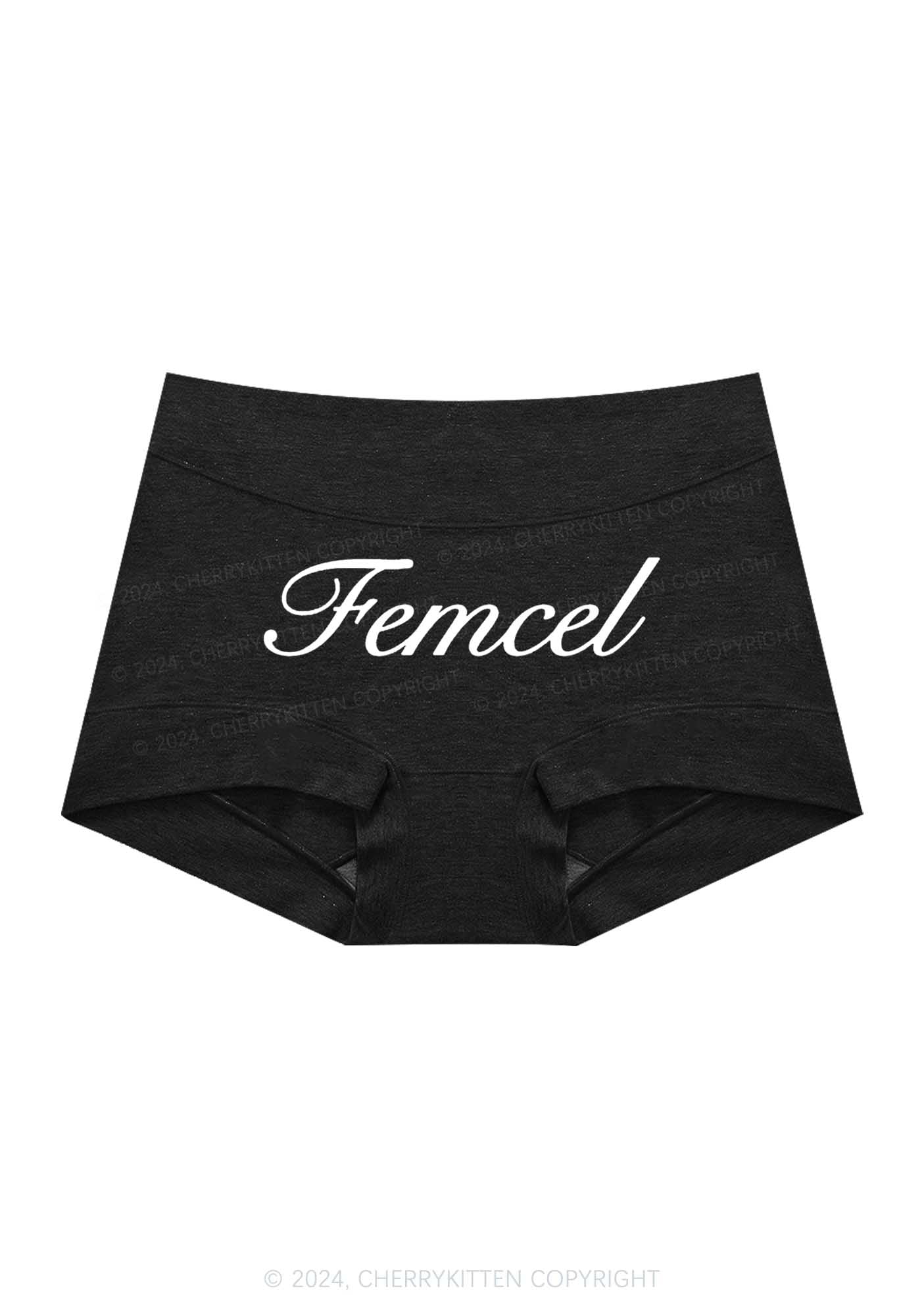 Femcel Y2K Mid Rise Waist Boyshort Cherrykitten - Image 4
