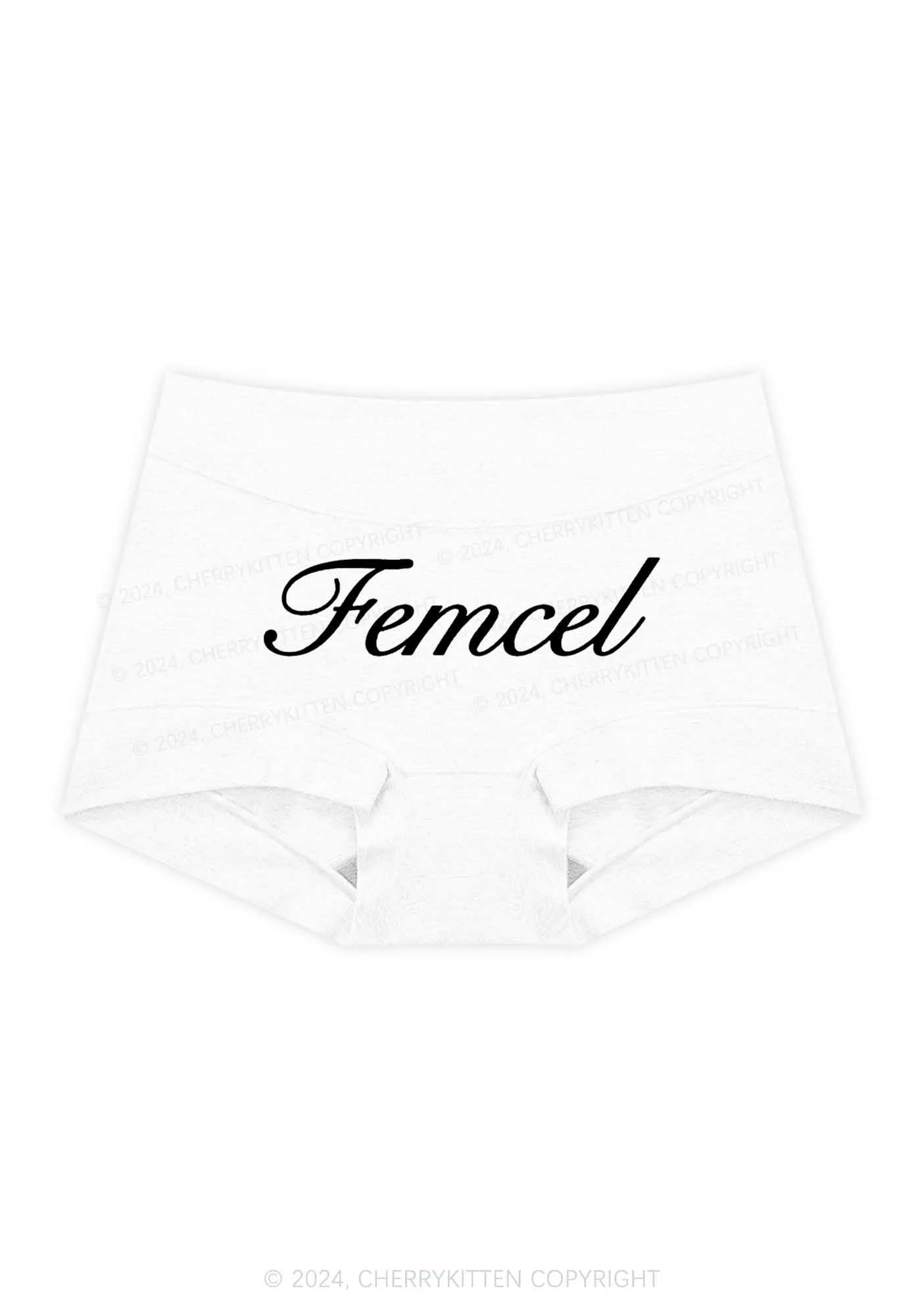Femcel Y2K Mid Rise Waist Boyshort Cherrykitten - Image 5